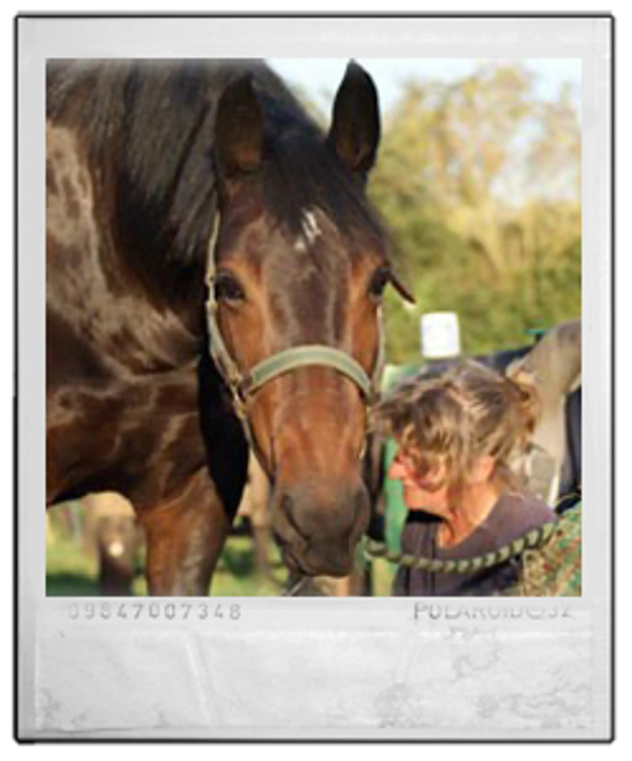 Little Pasture Trekking Centre