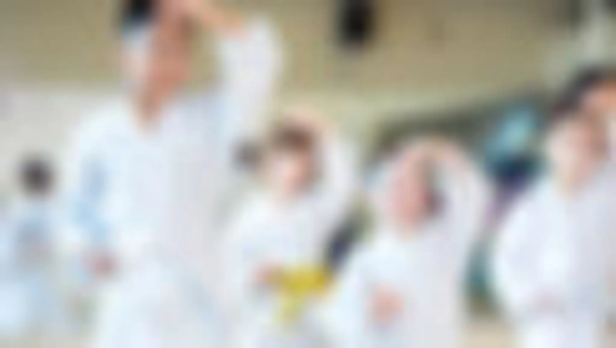 Taekwondo Academy Stockport