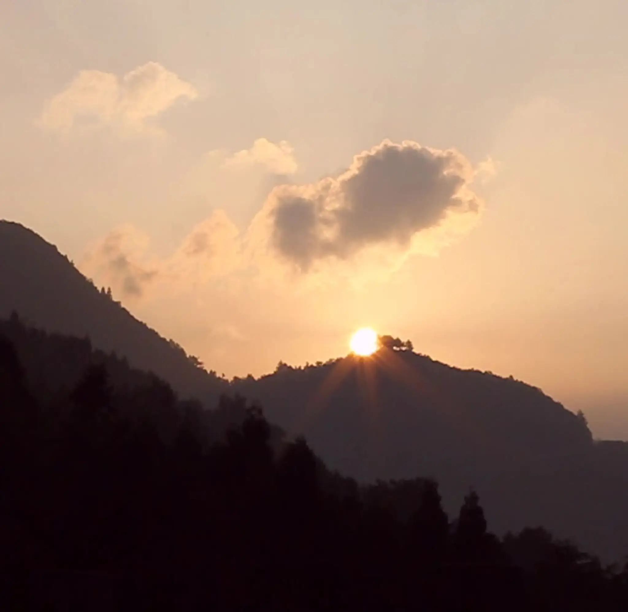 Blissful Body Thai Massage & Yoga