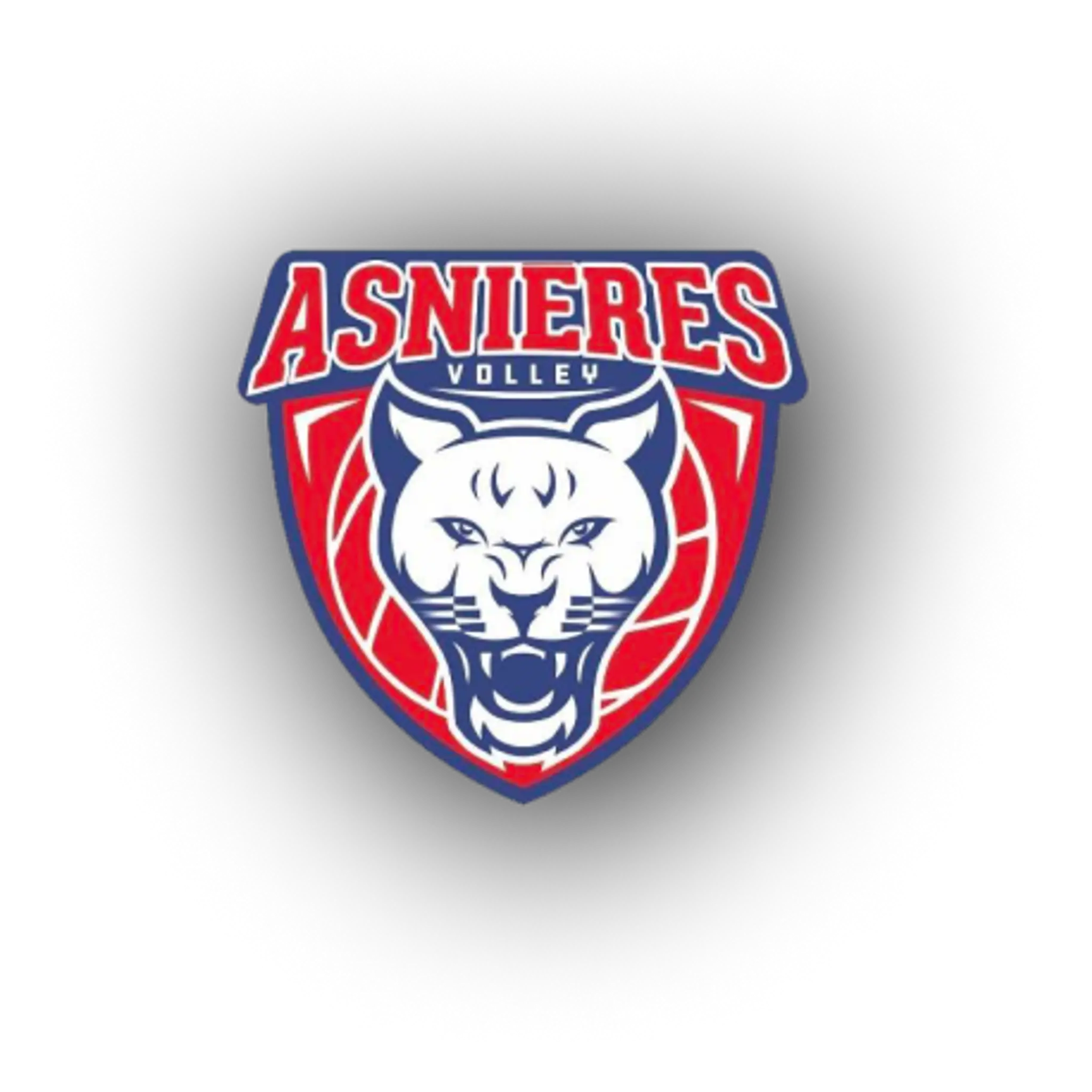 Asnières Volley 92