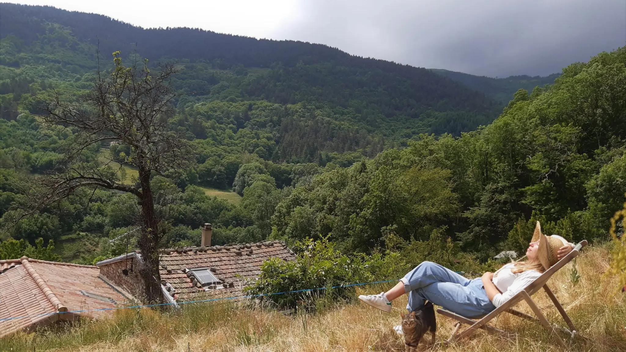 Les Ânes d'Artémis