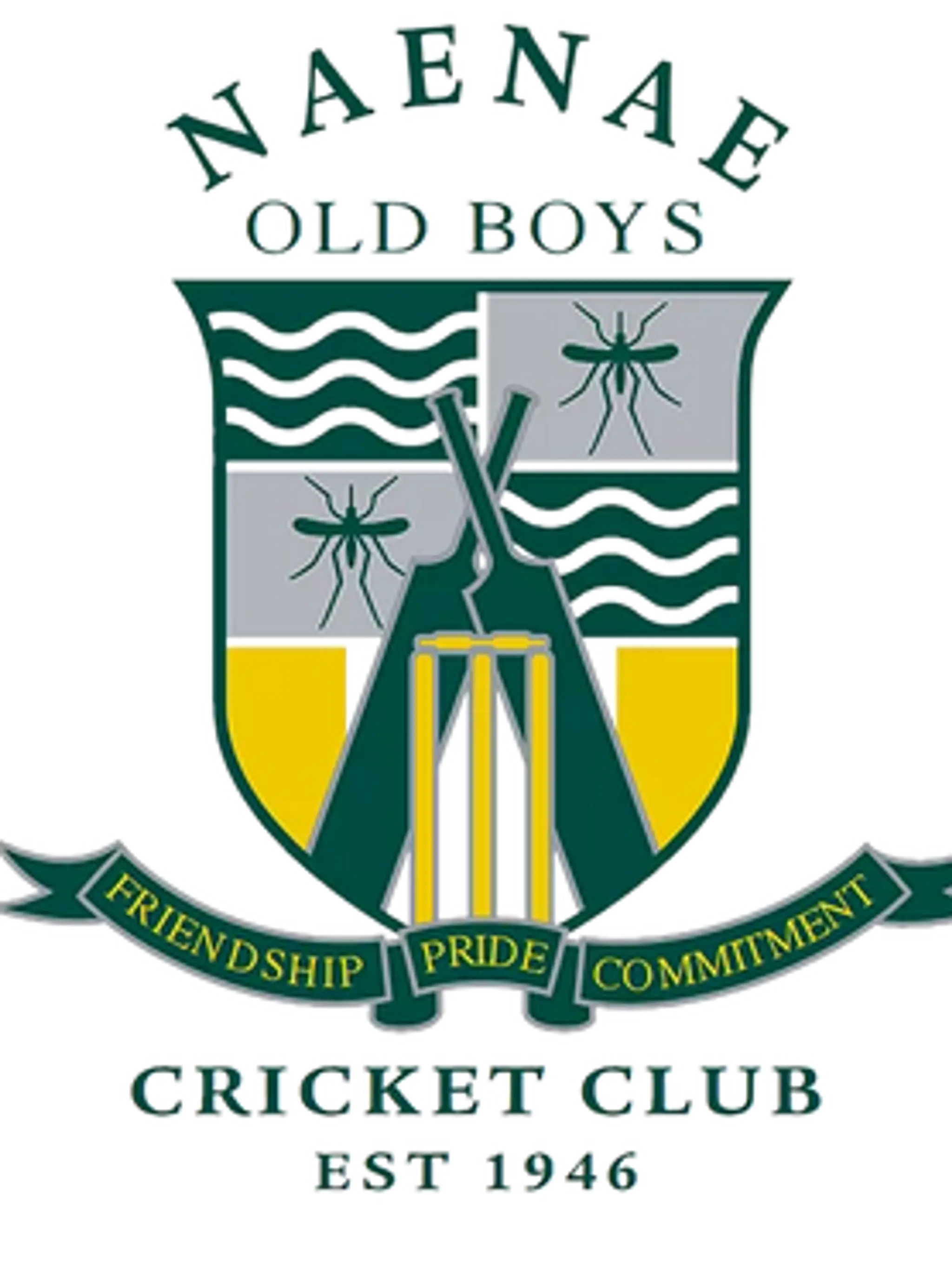 Naenae Cricket Club
