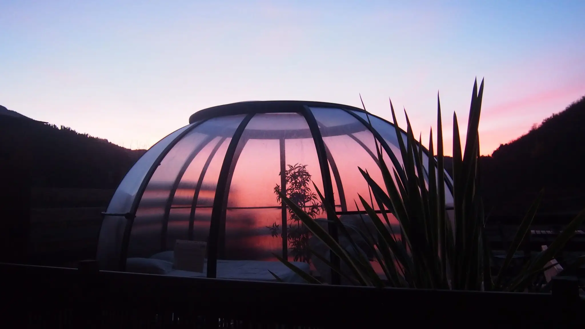 Domaine Le Clos du Fort