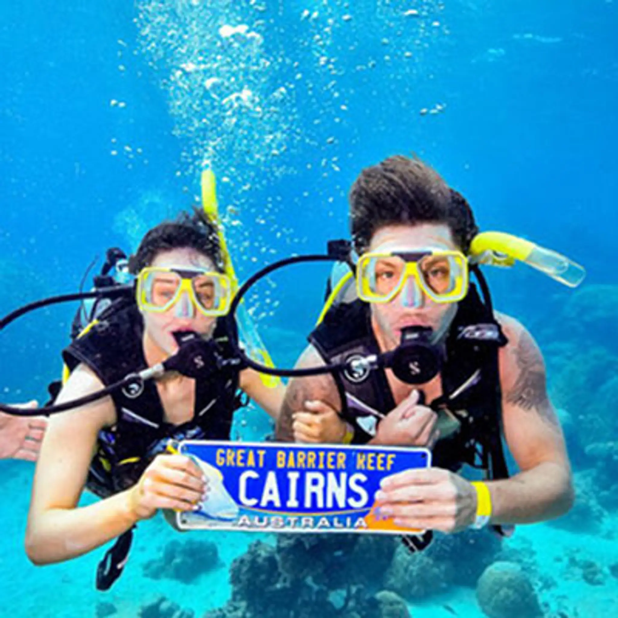 Down Under Cruise and Dive