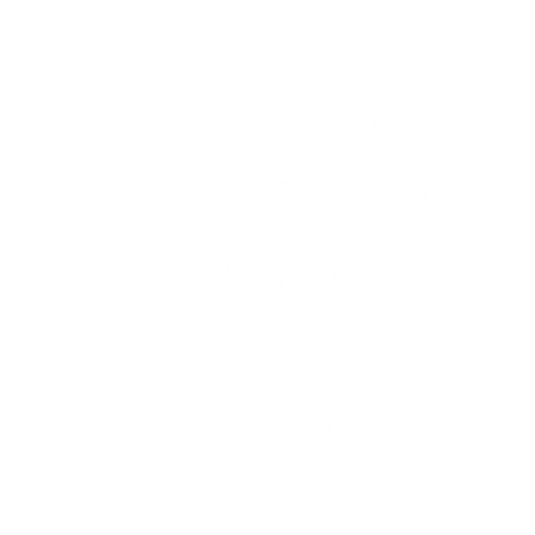 The Body Factory GYM
