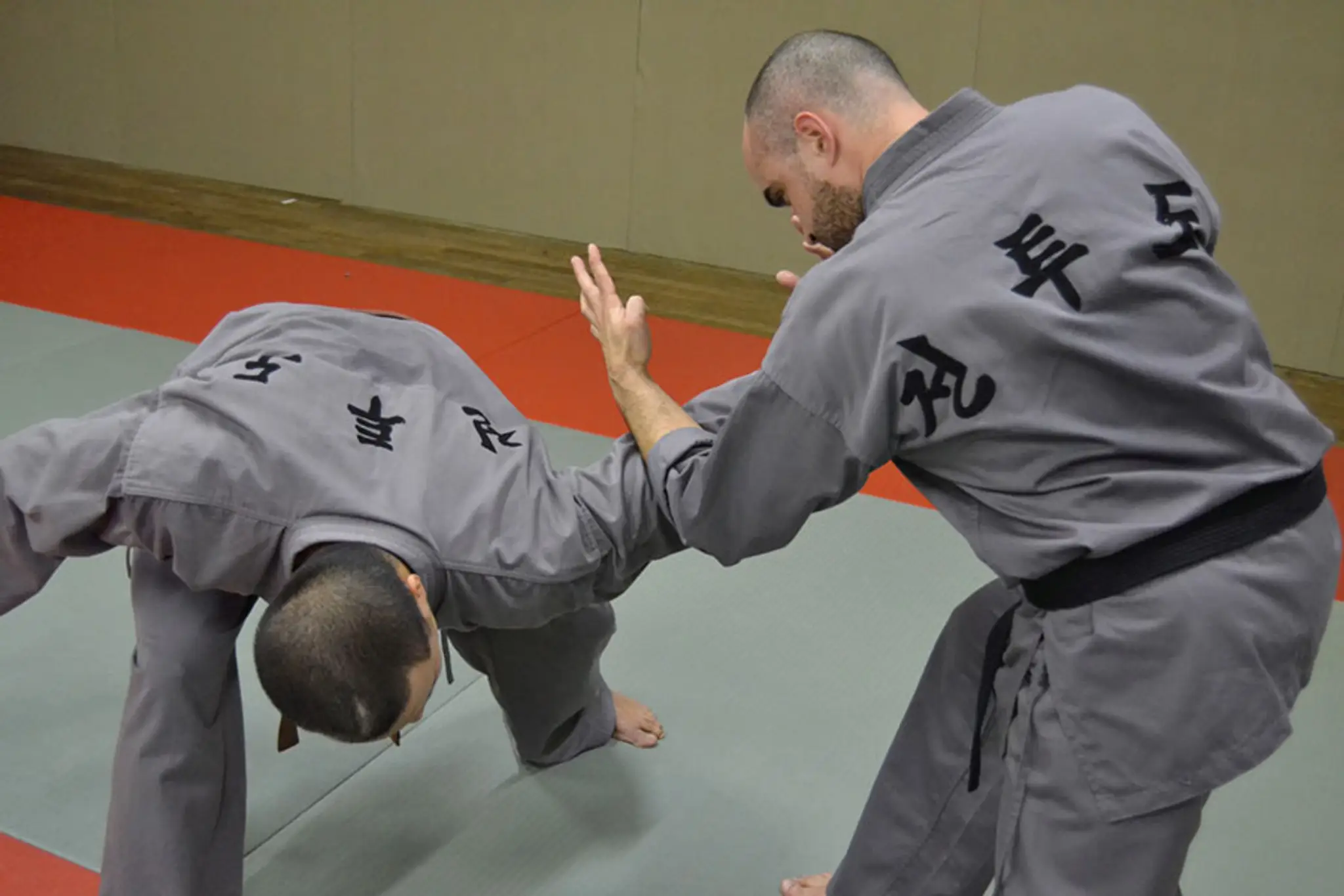 Hapkido Traditionnel (AFHT)