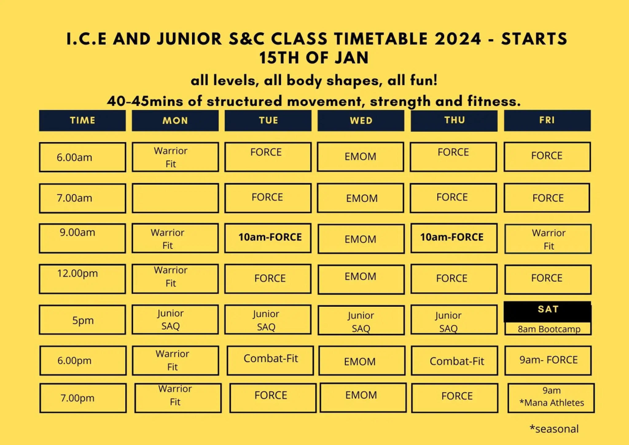 Mana Fitness Solutions