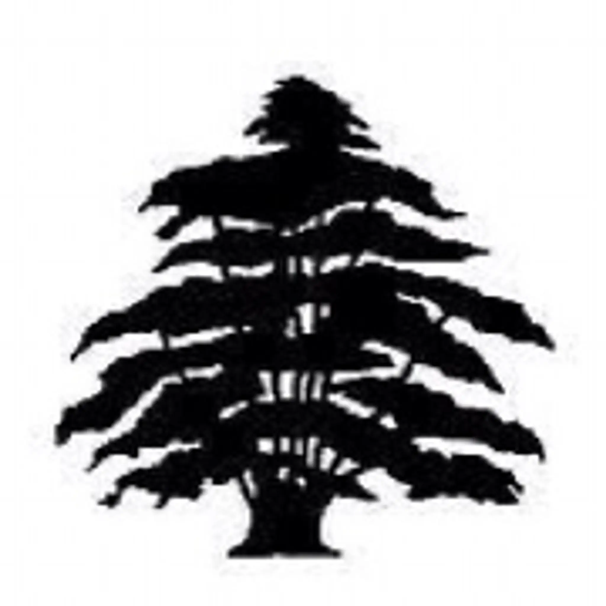 Lutterworth Cricket Club