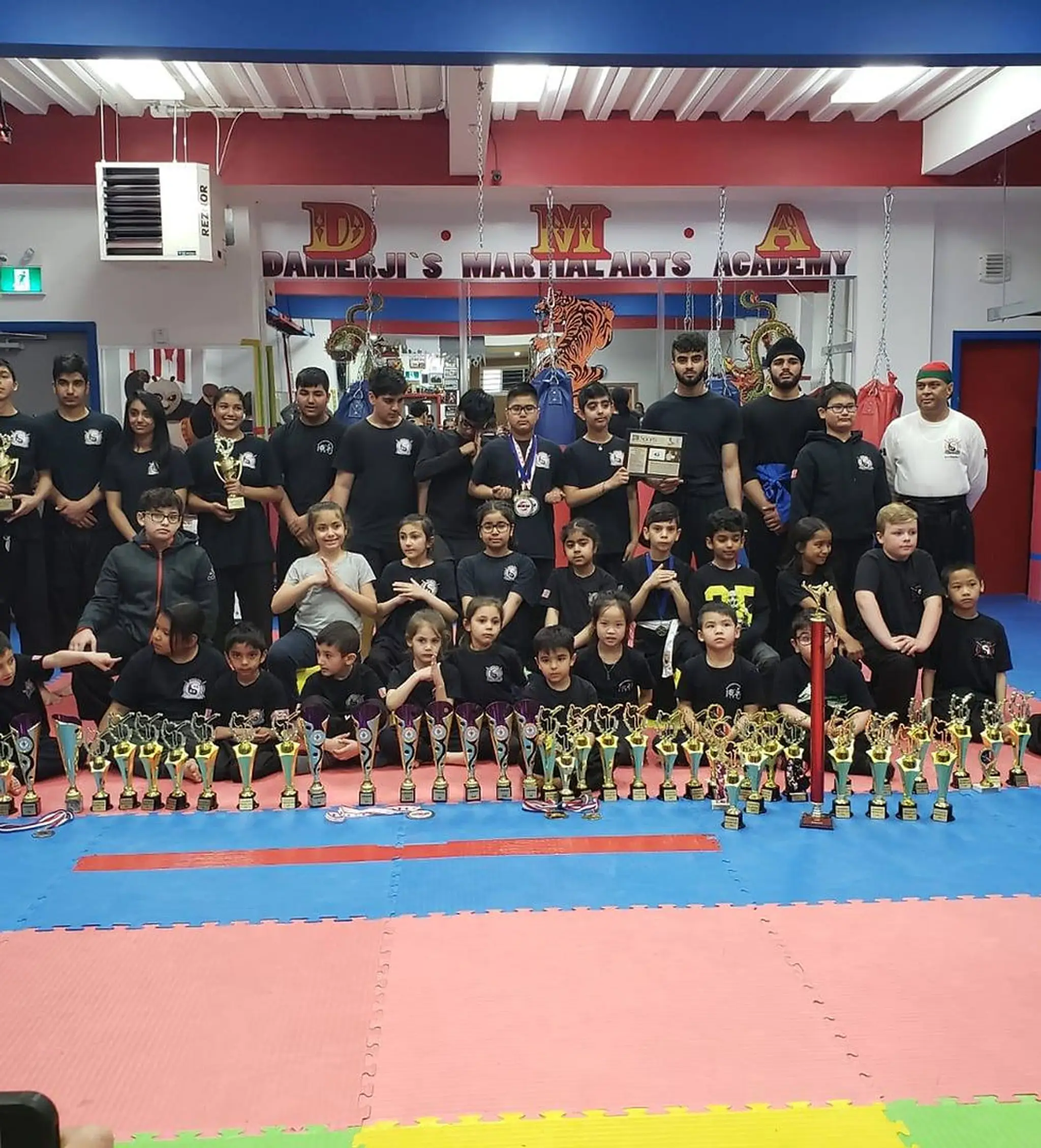 Damerji's Martial Arts Academy