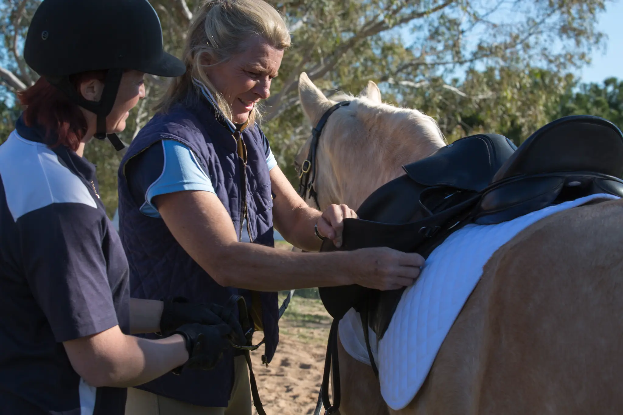 Arandth Performance Horses