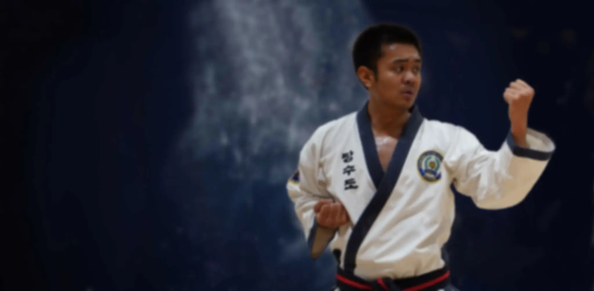 United Kingdom Tang Soo Do Federation (Region 4) Martial Arts