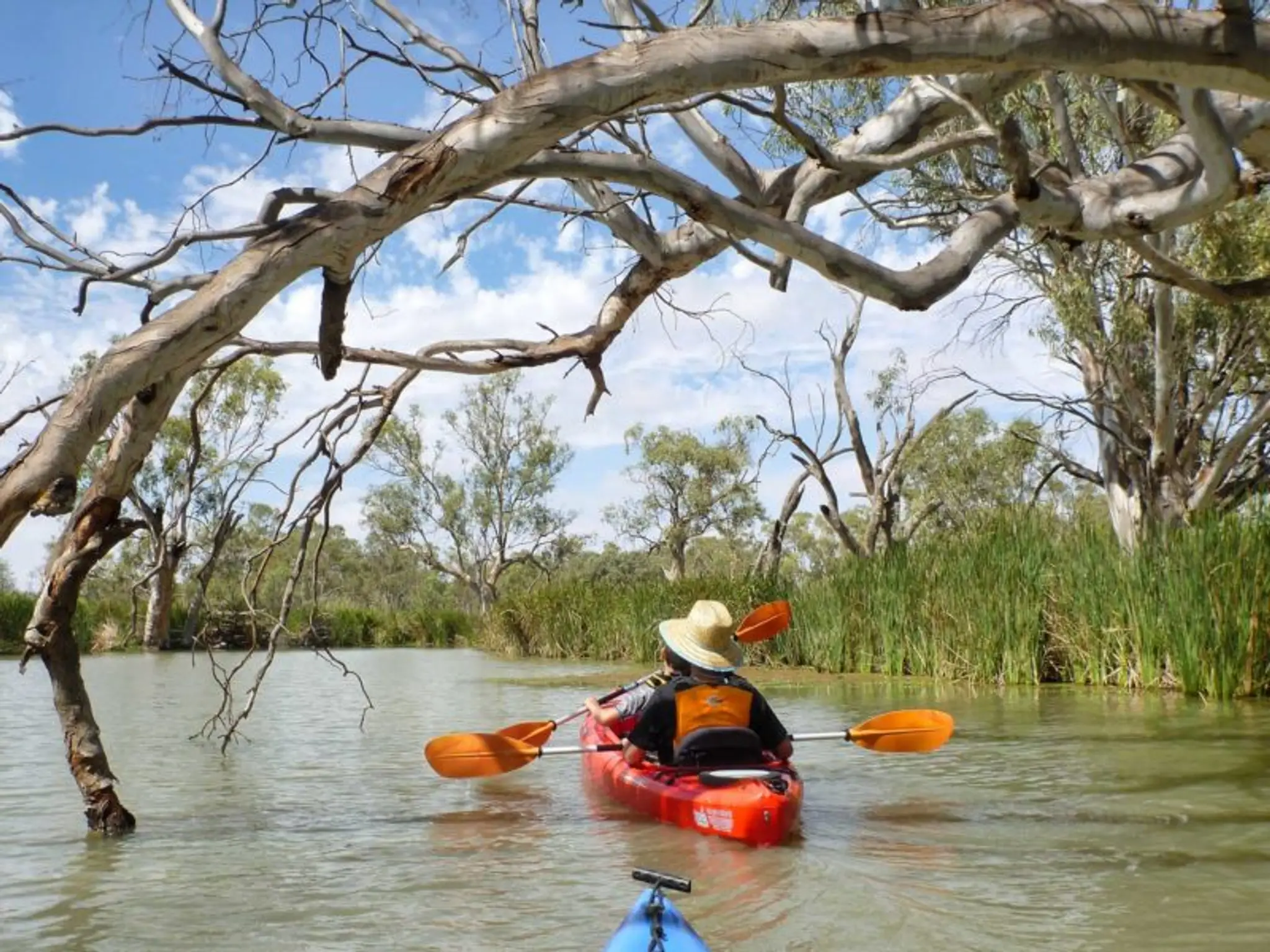 Gurra Gurra Creek Kayak Launch