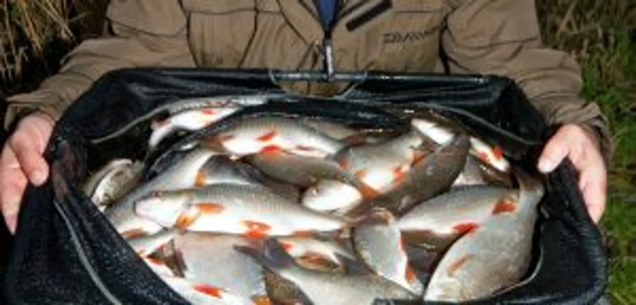 Messingham Sands Fishery