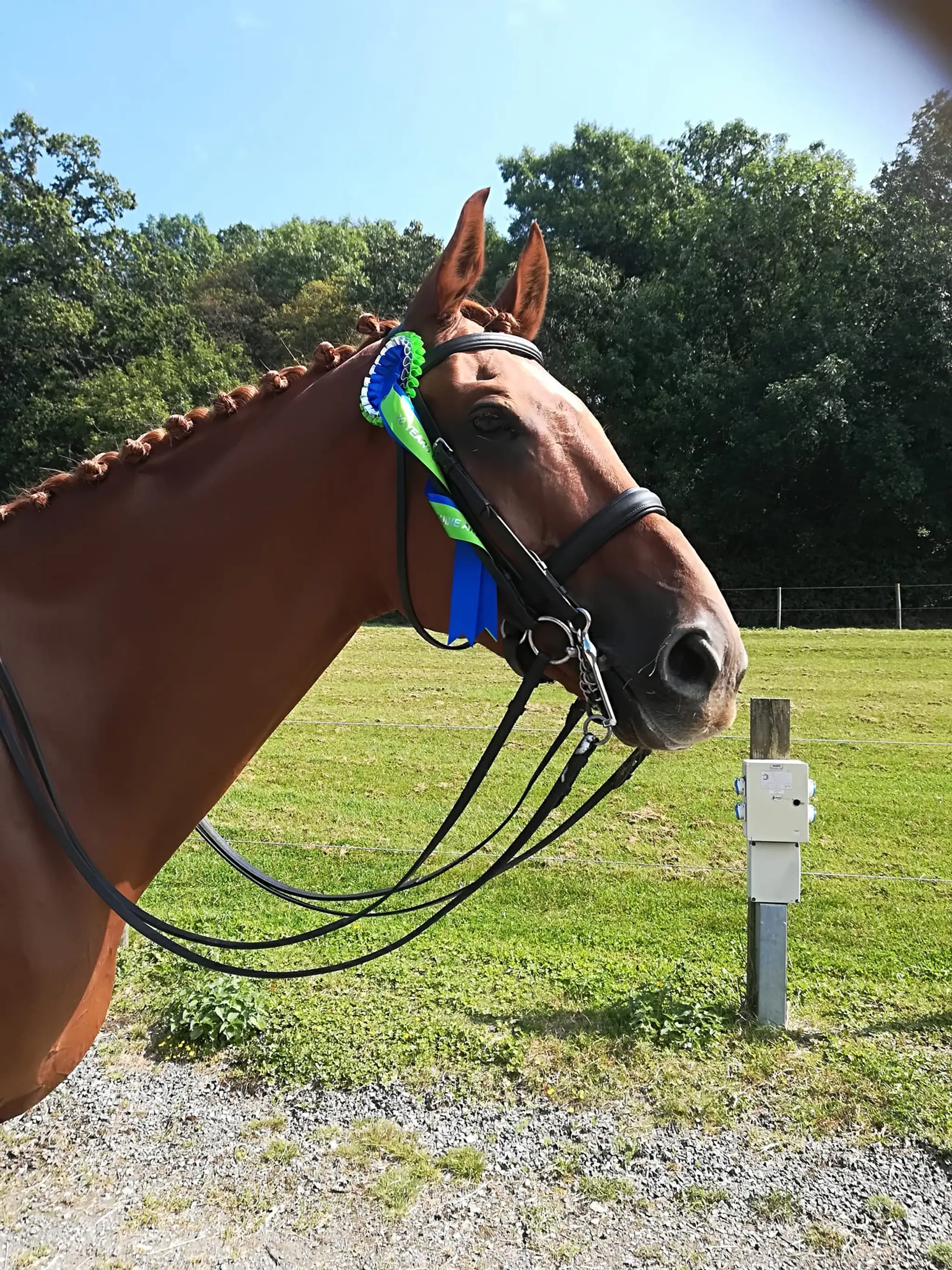 Seechem Equestrian Centre