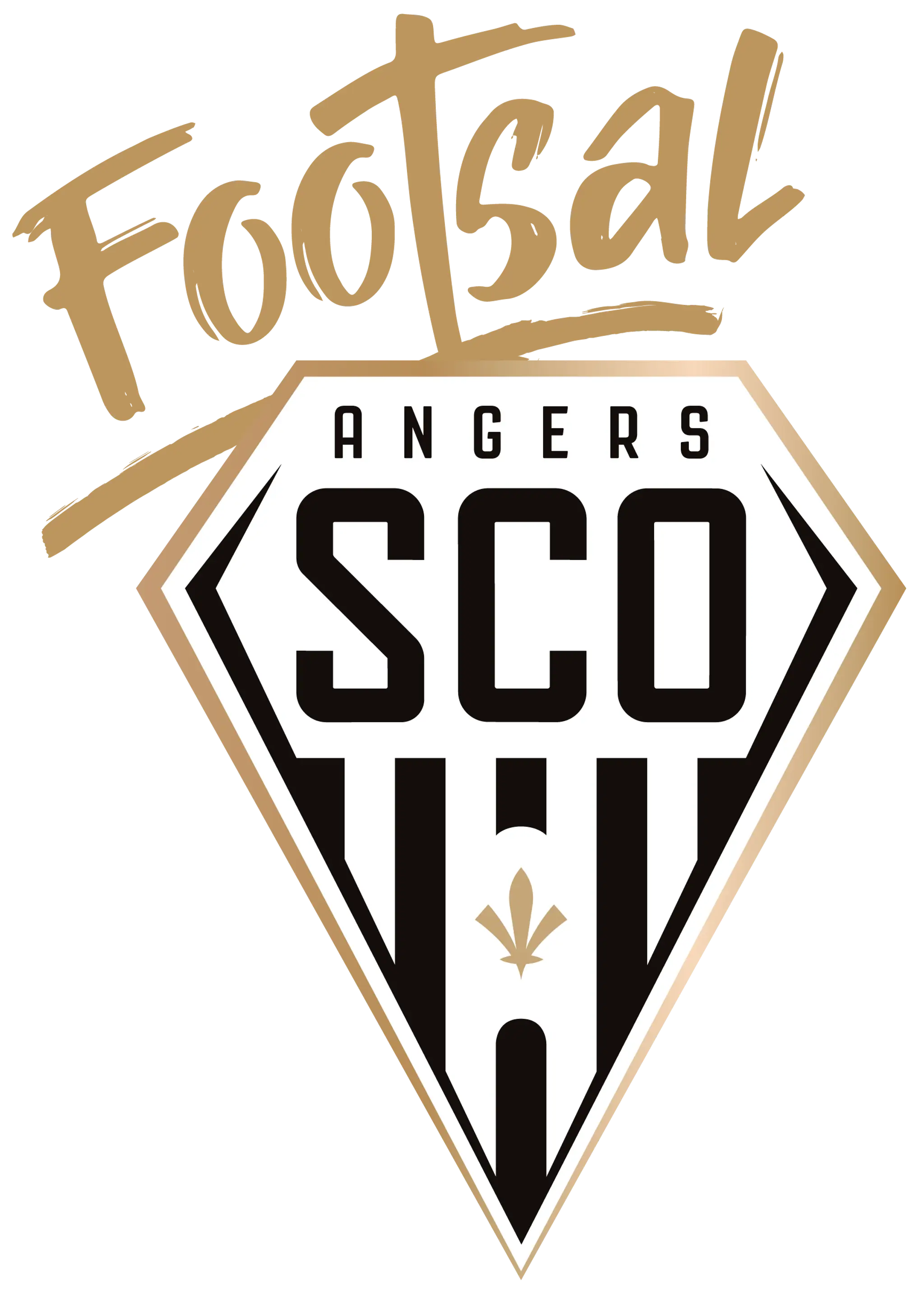 Angers SCO Footsal