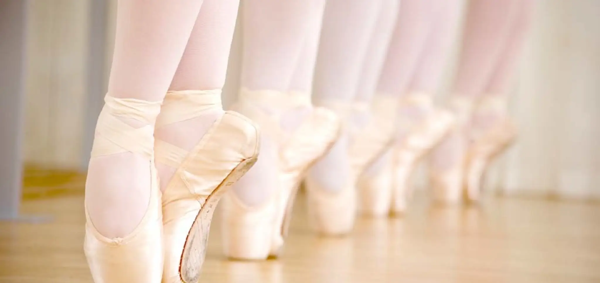 LWHS School of Dance, The Arts Garage Ltd