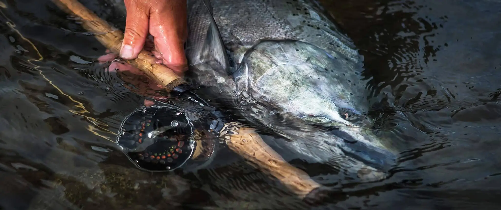 Nicholas Dean Outdoors (Office)