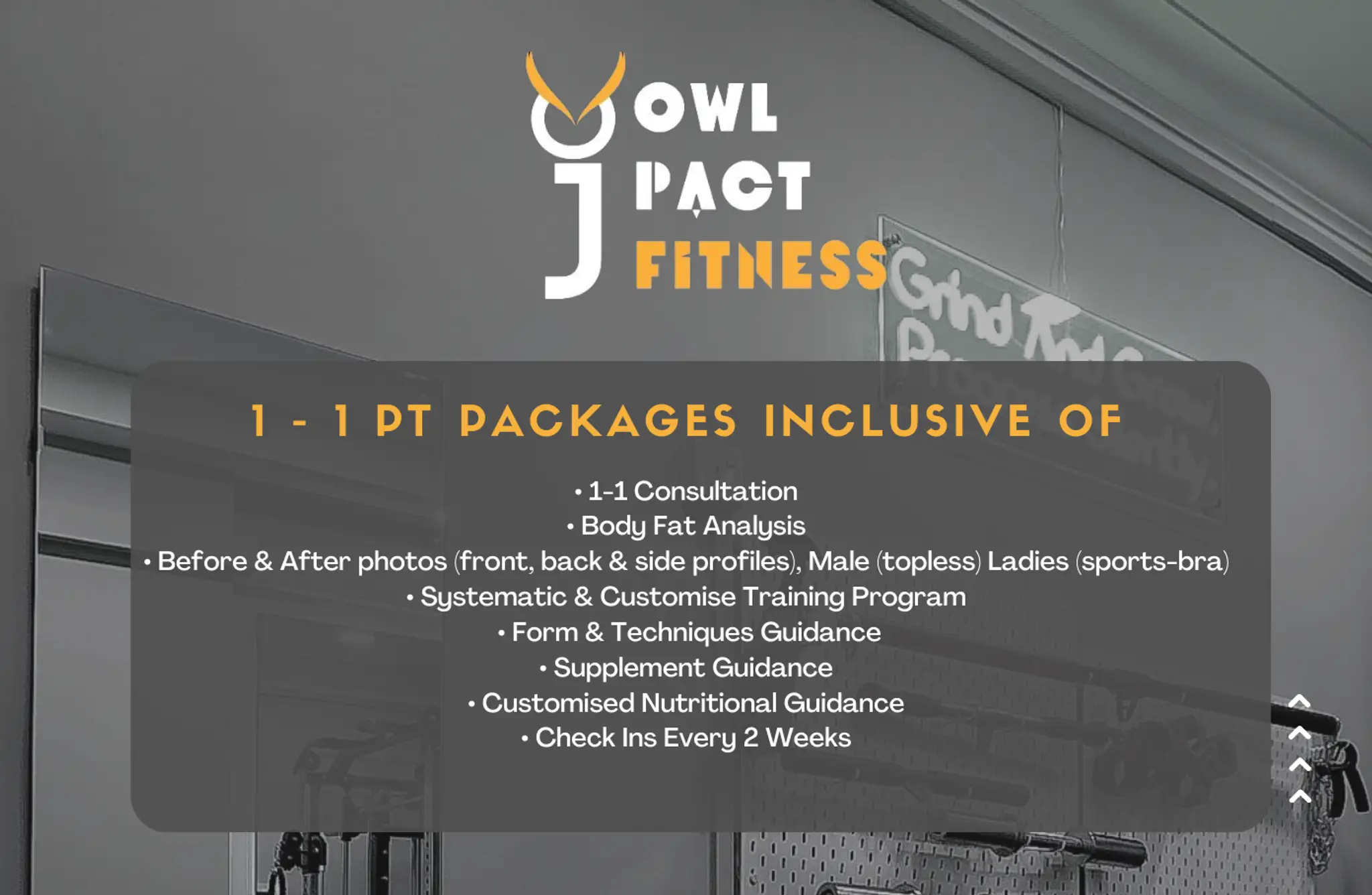 Owlpact Fitness Private Gym Studio