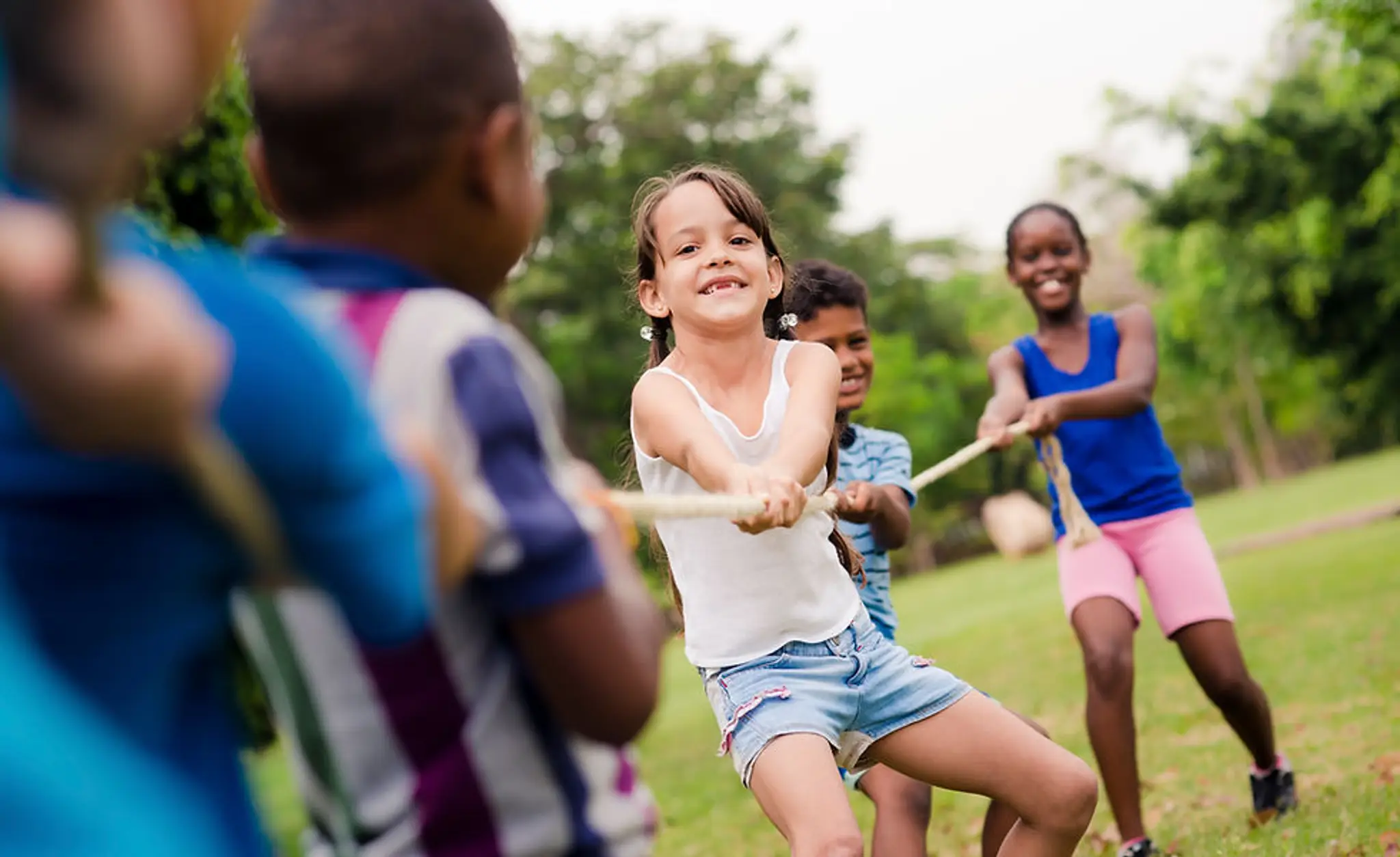 Volpe Martial Arts - Kitchener Waterloo