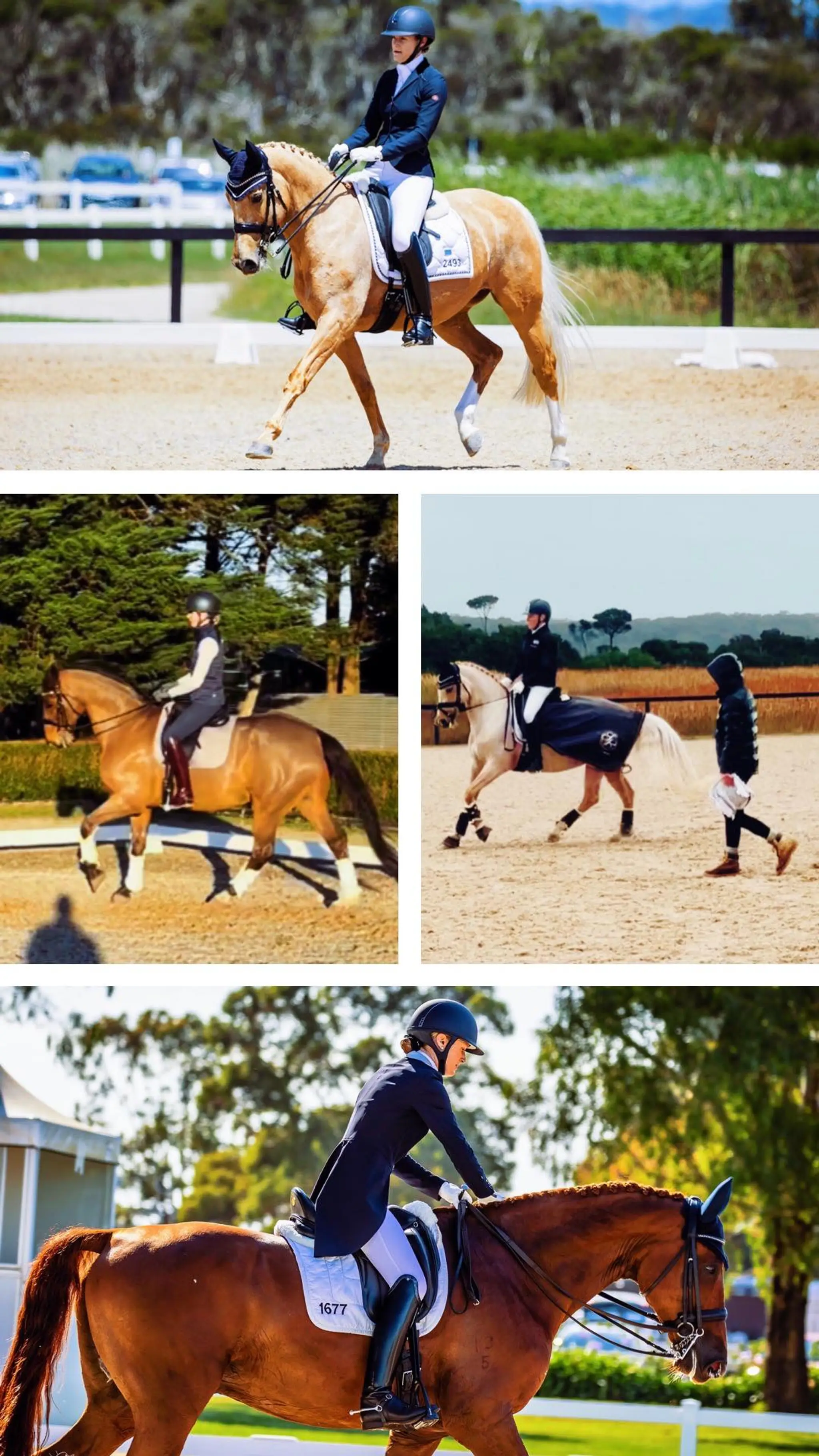 Keysborough Equestrian Club