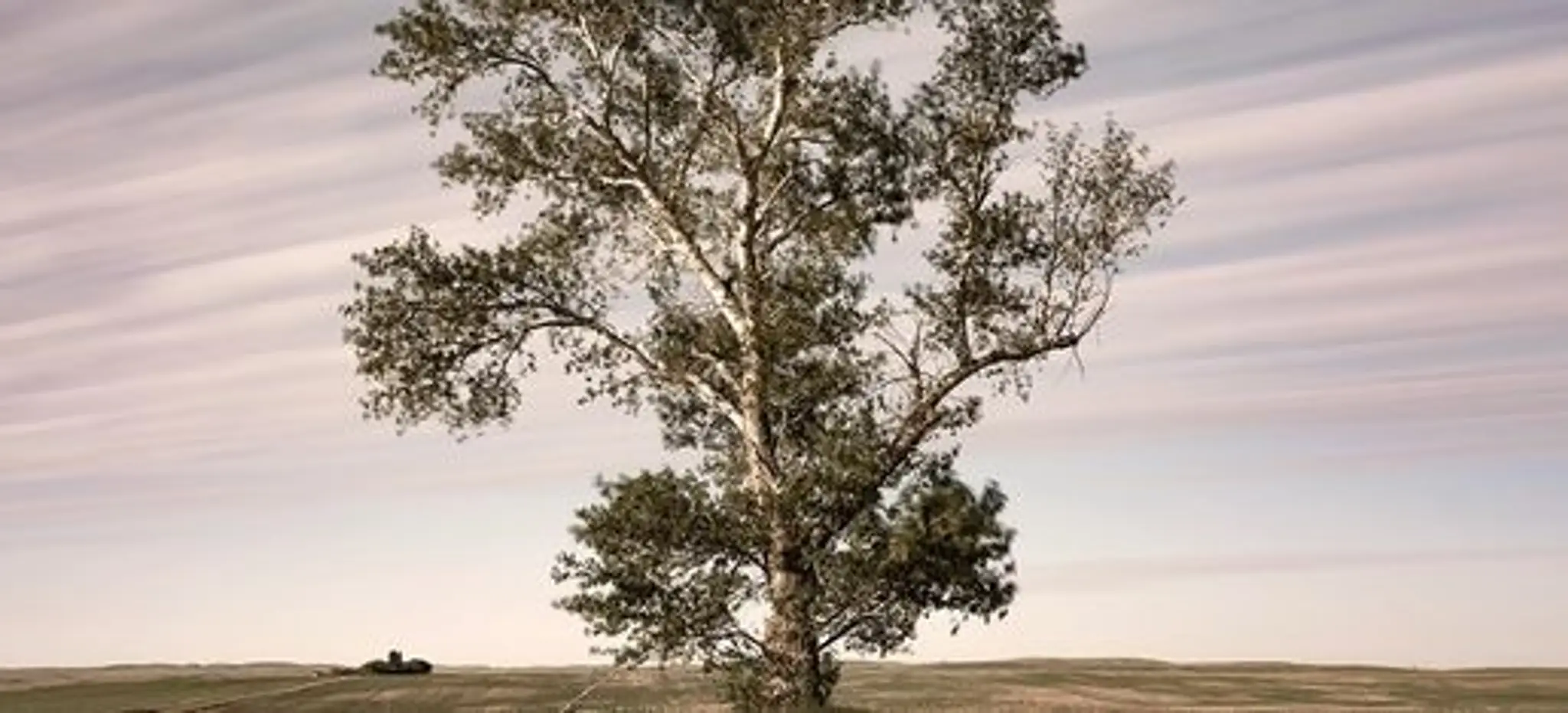 Jennifer Kroeker, Registered Massage Therapist