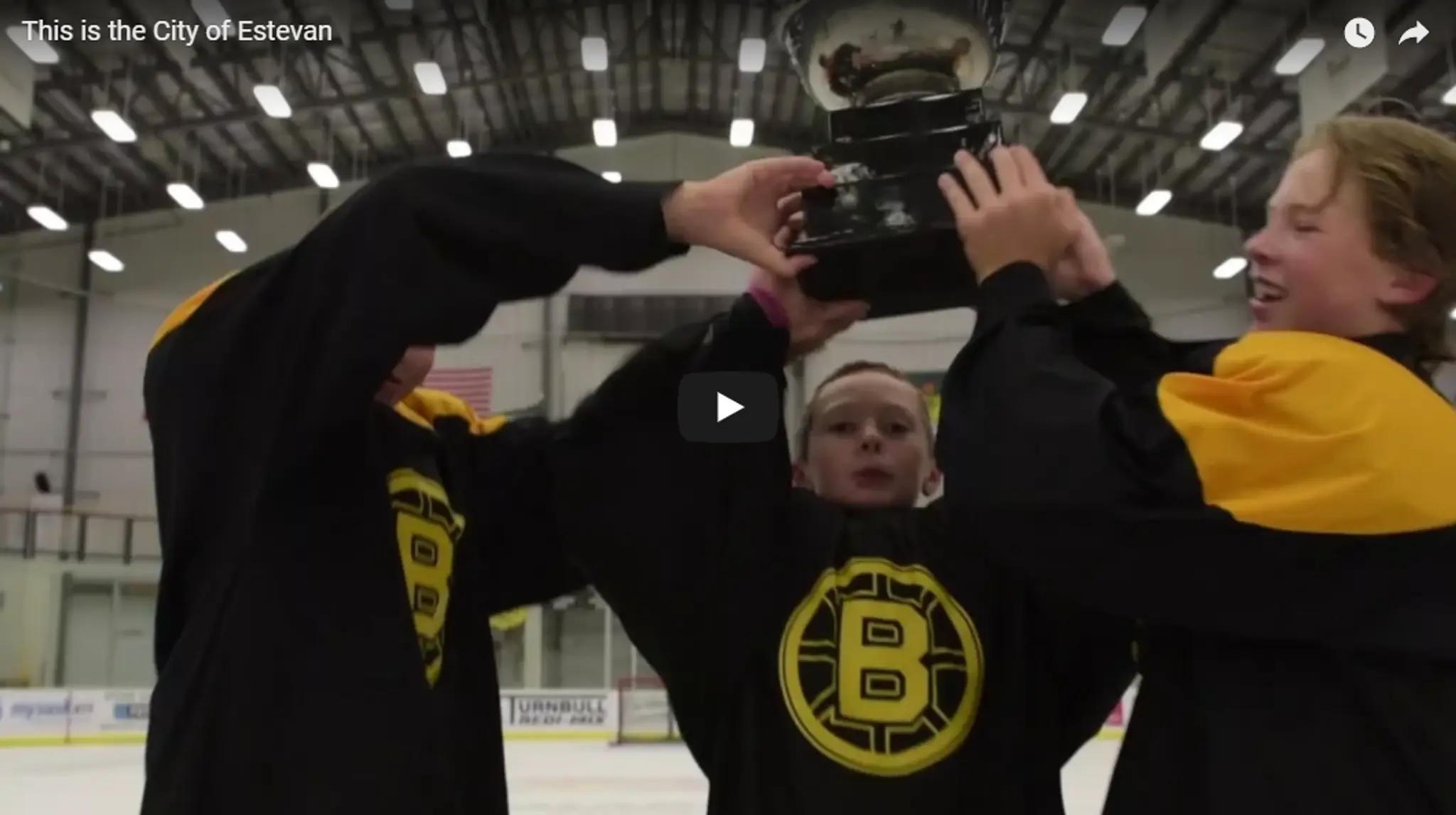 Pleasantdale Softball Diamonds