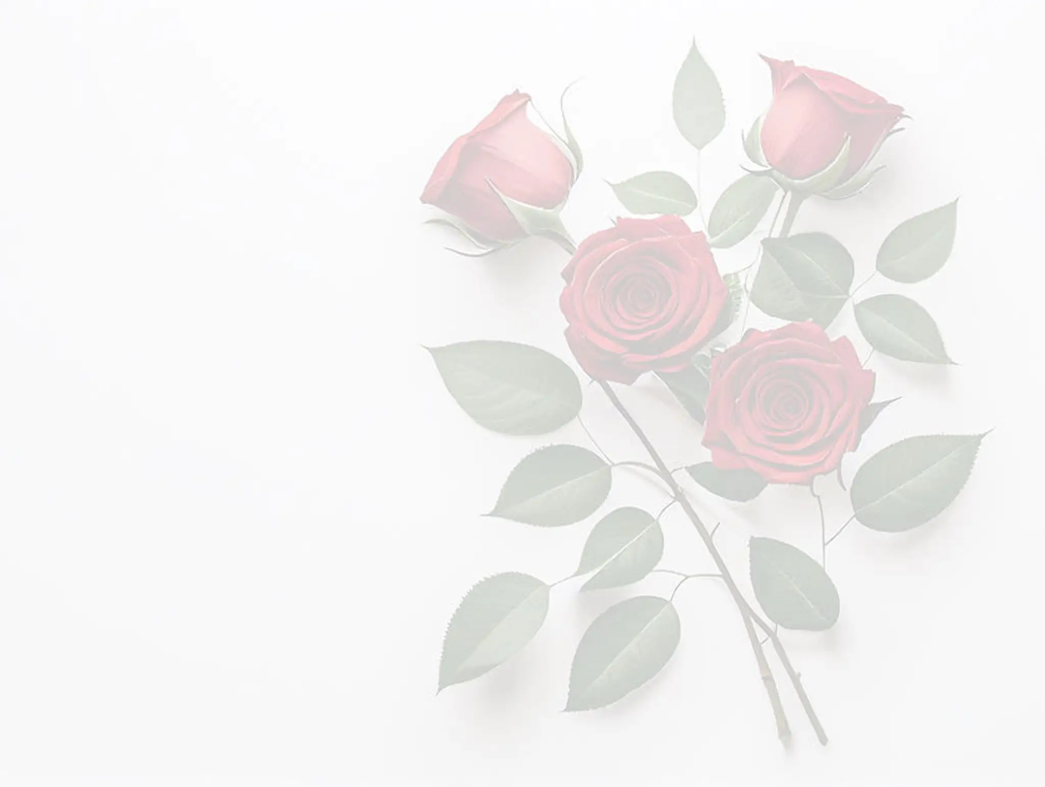 Sweet Tee's Wellness & Beauty - Hackney