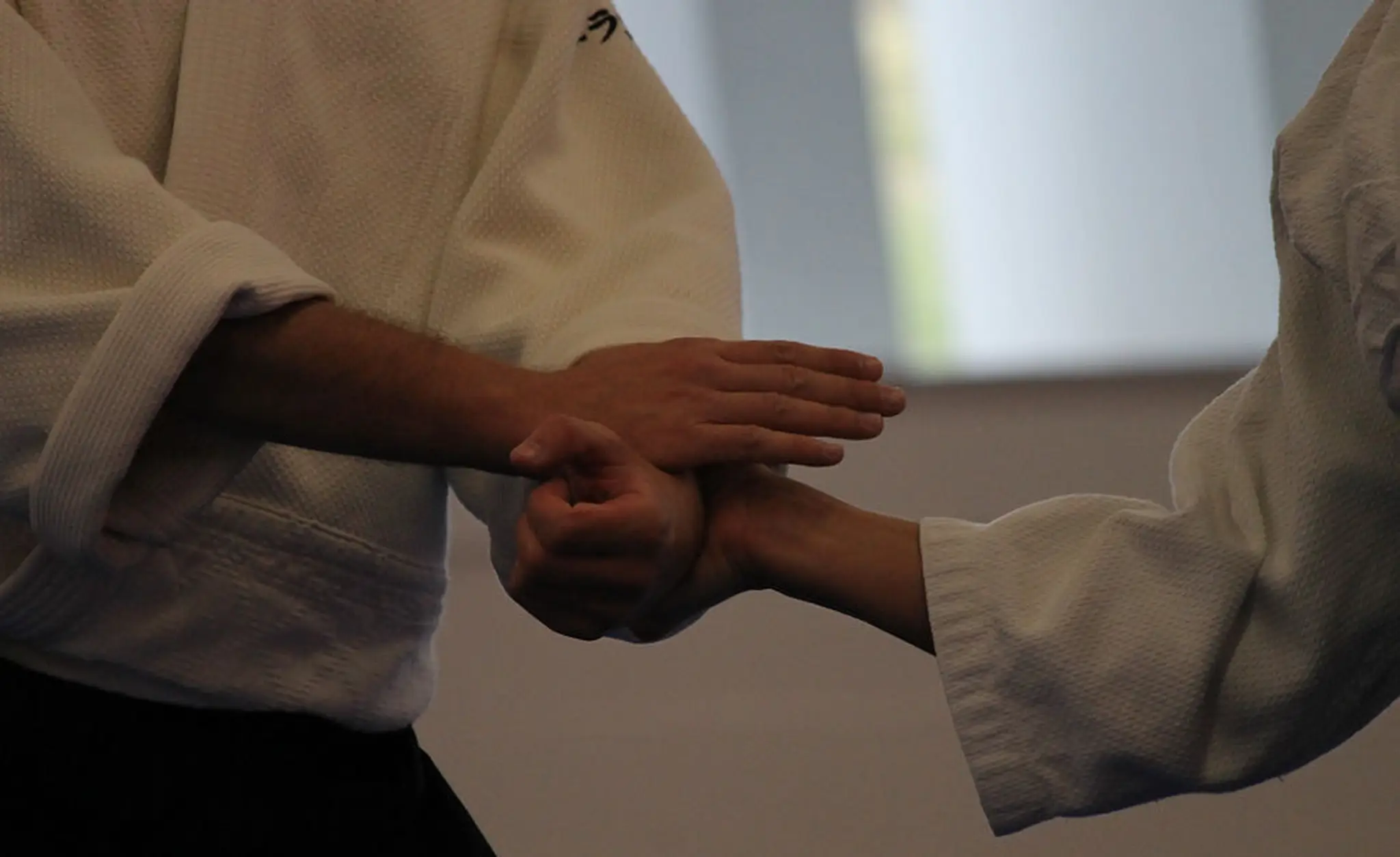 Dojo Wambrechies