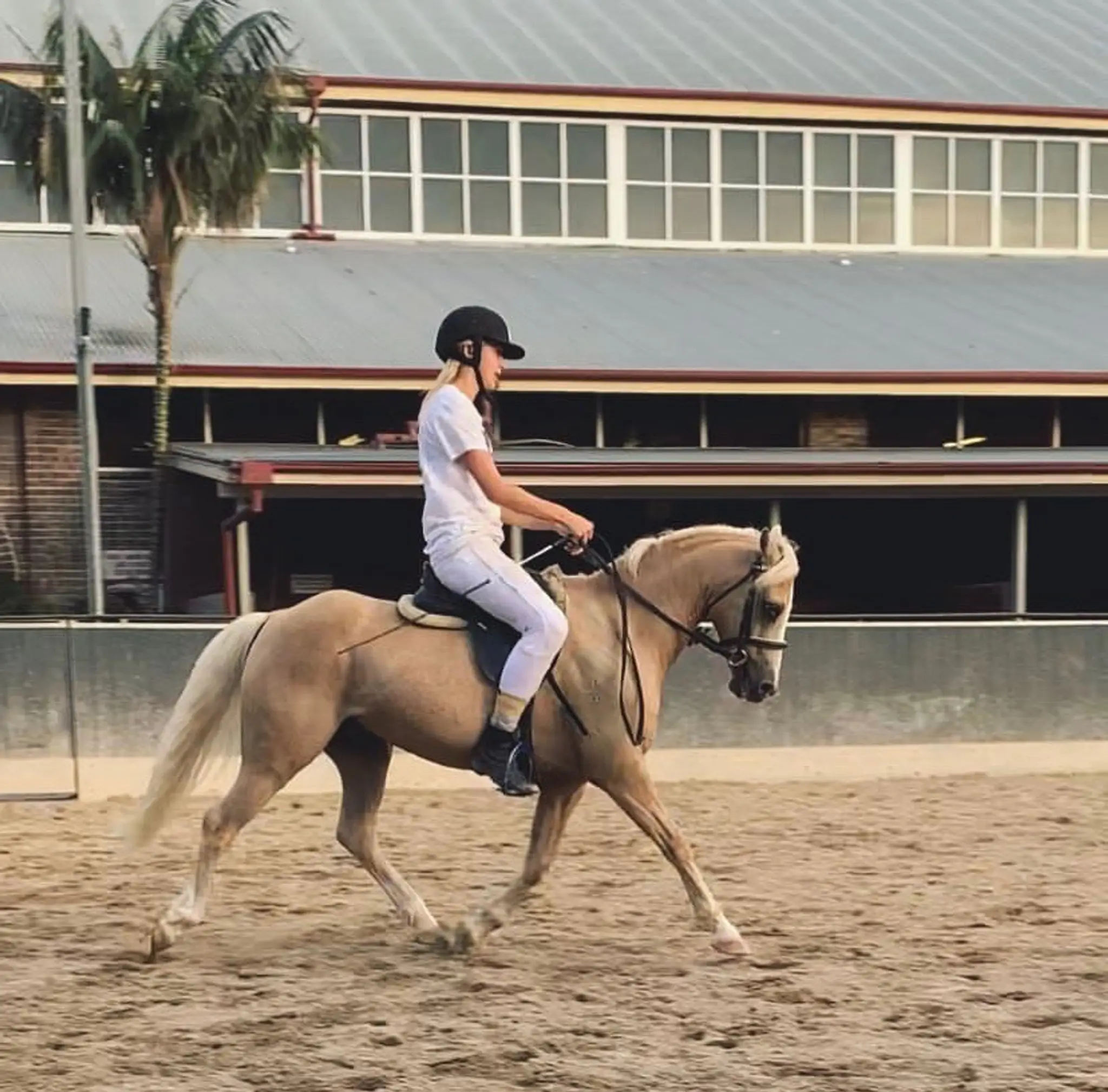 Showgrounds Riding School