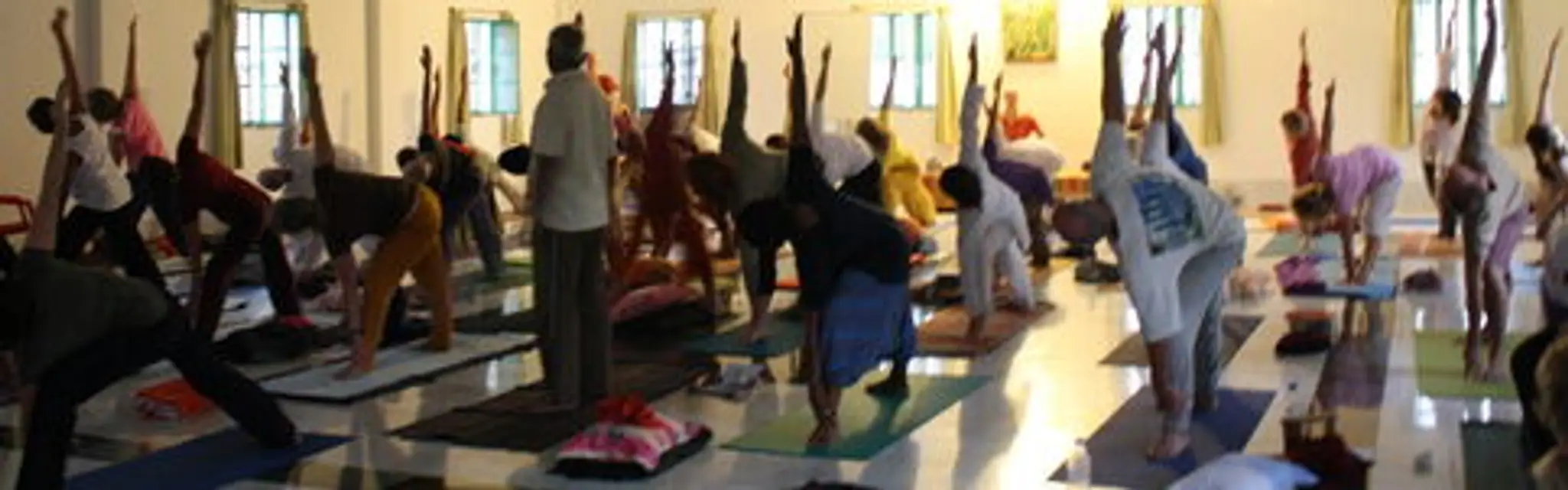 Ananda Yoga Center( online class)
