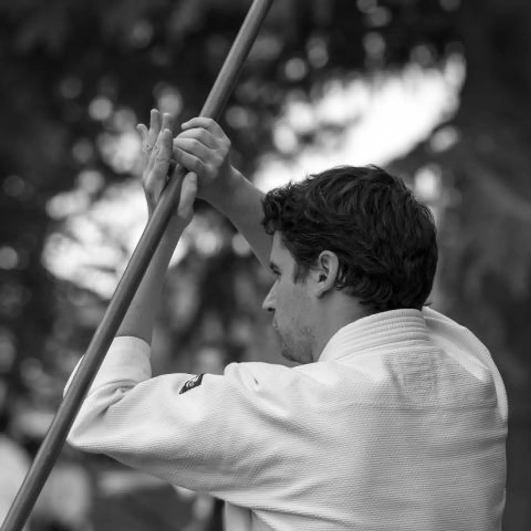 Aikido Traditional Du Béarn