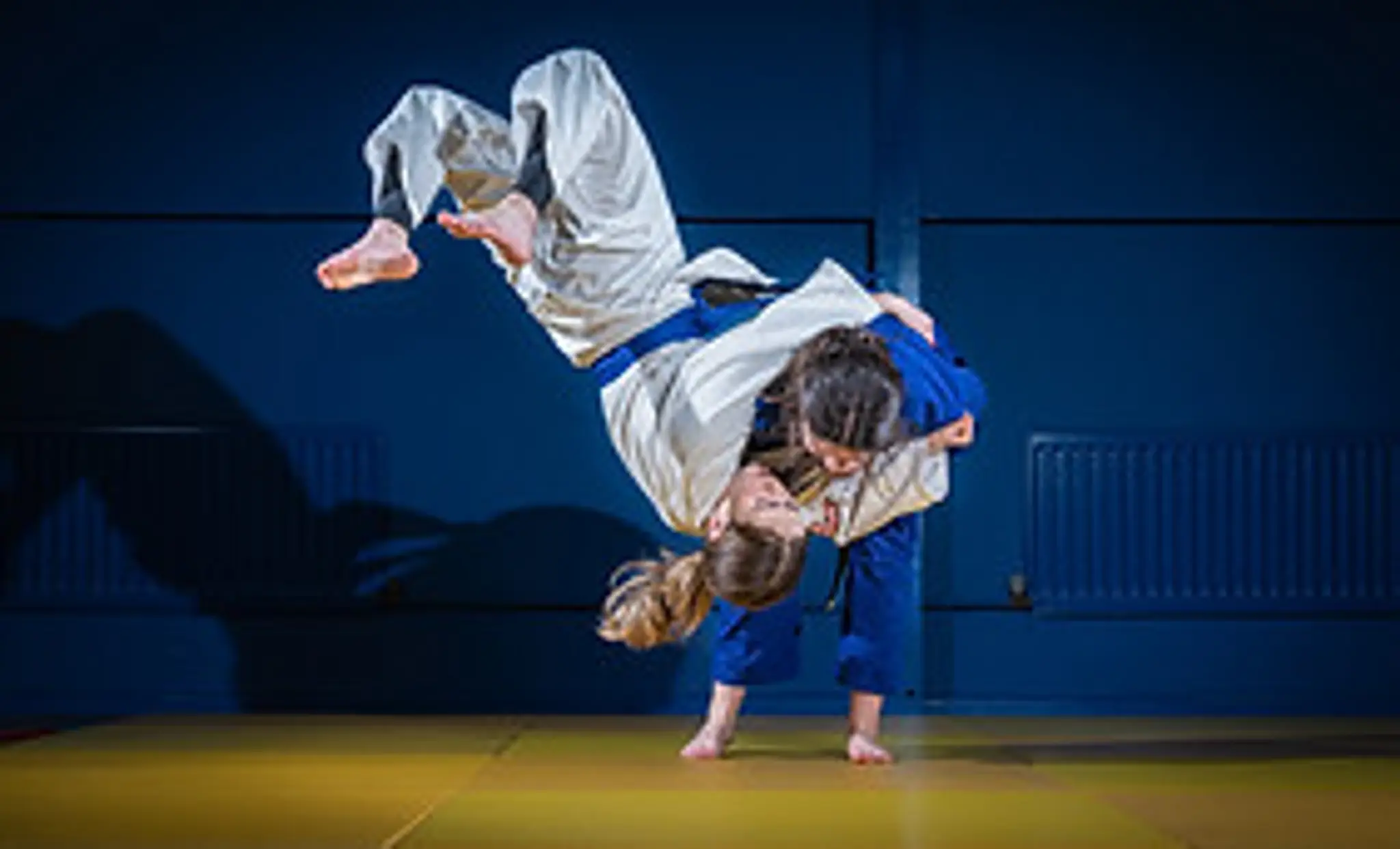 The Judo Academy