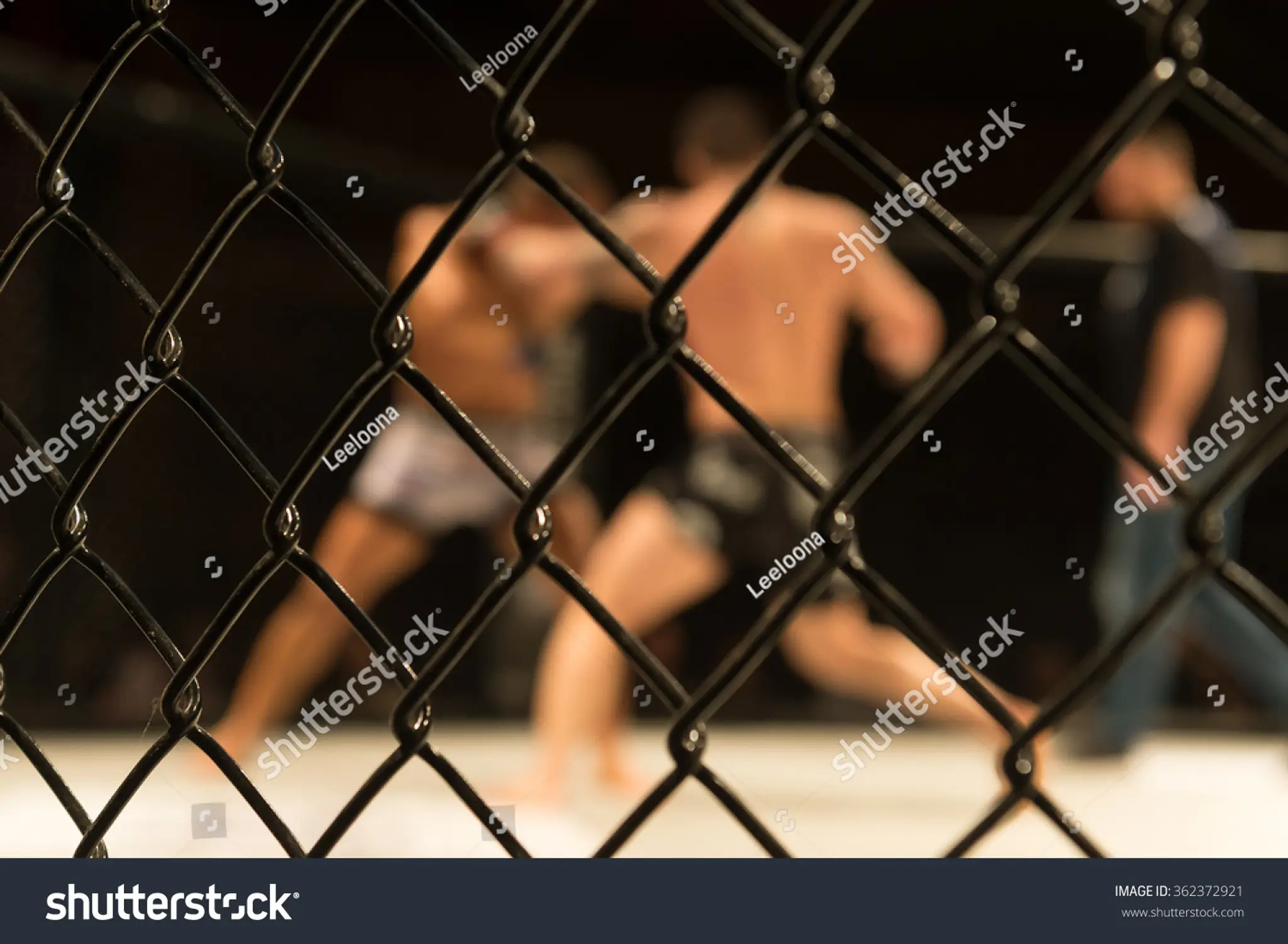 Range Martial Arts Academy - Stroud