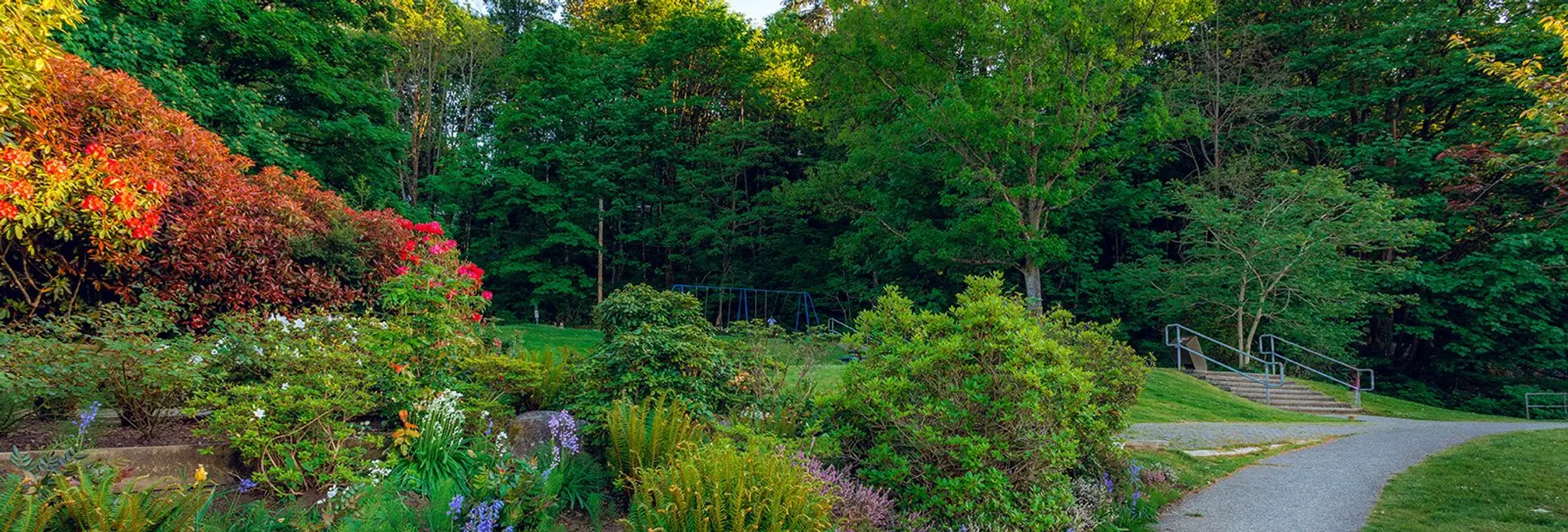 Rotary PoMo SK8 Park