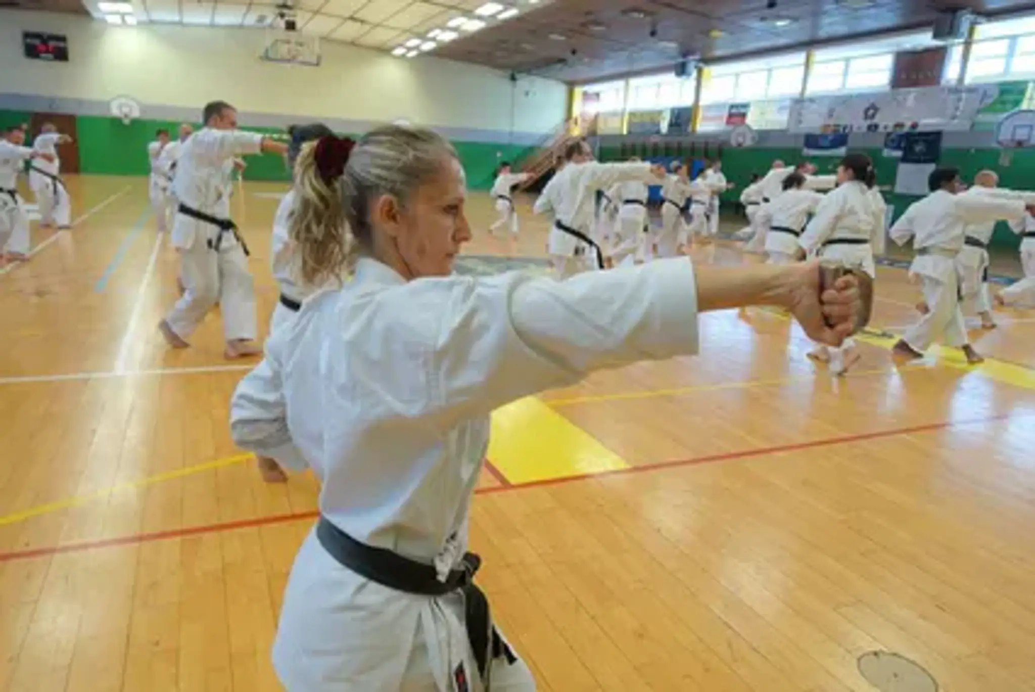 Karate Goju Ryu Sisteron