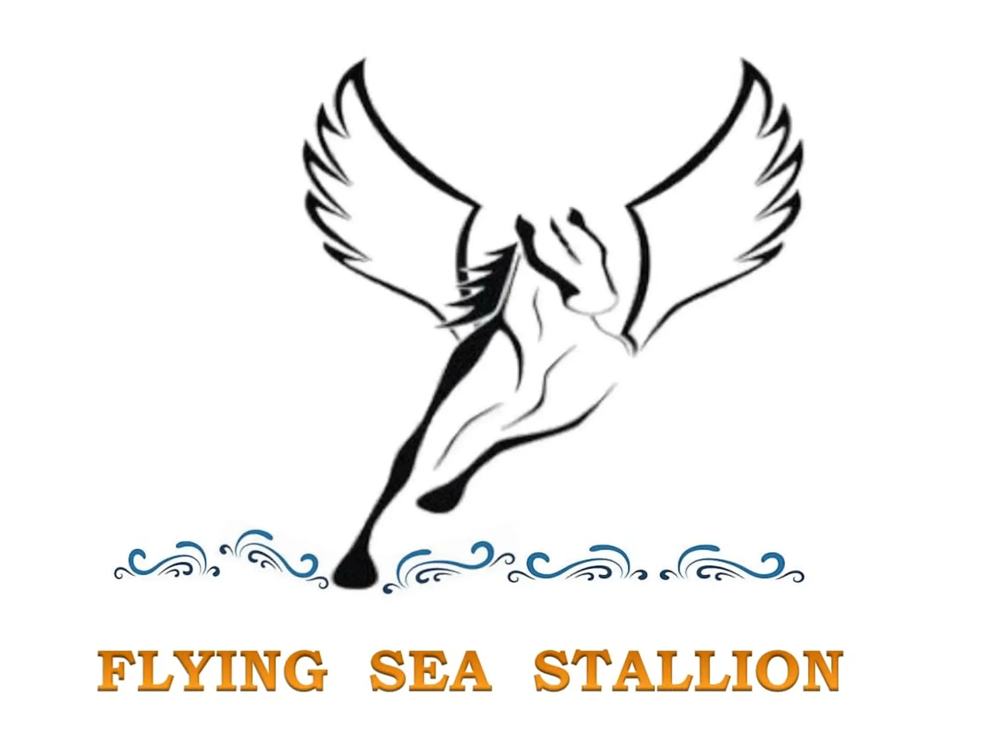 Flying Sea Stallion HORSE RIDING SCHOOL