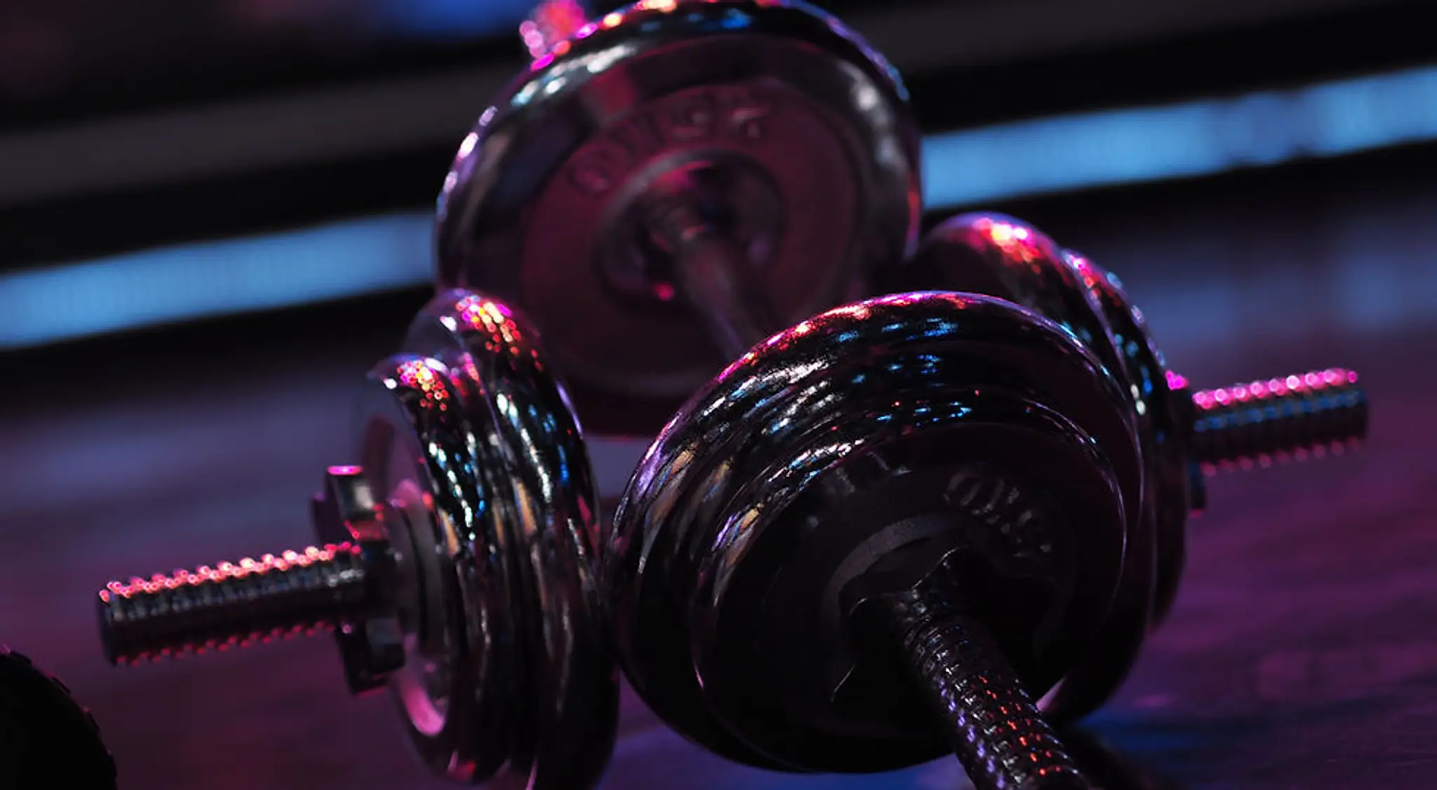 BioActive Gym