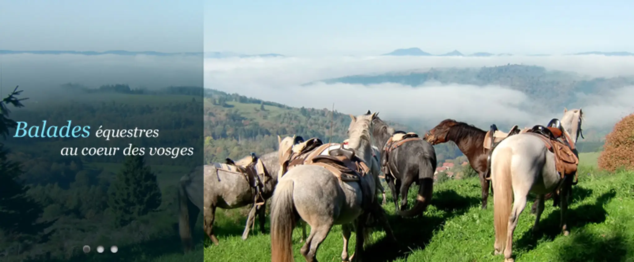 La Ferme Equestre Du Chauffour