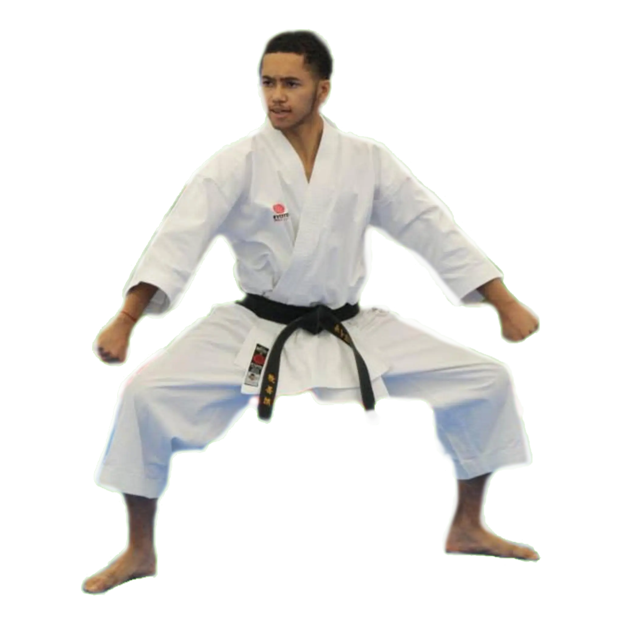 Kaizen Ryu Karate Bow