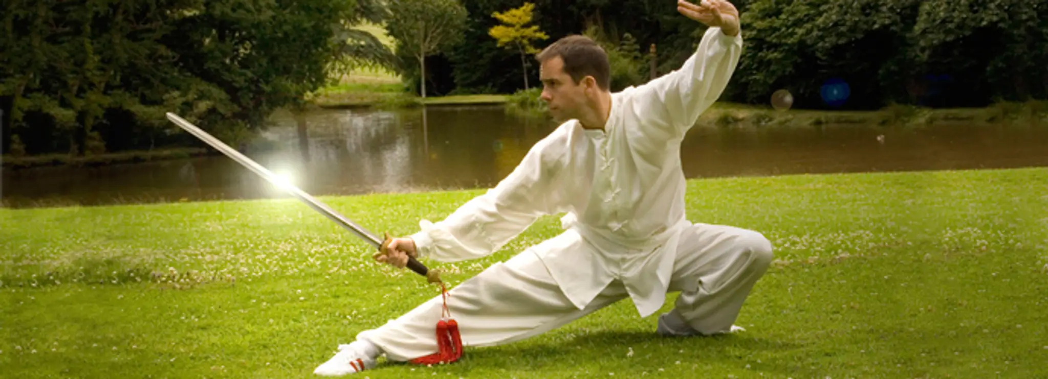 Dragon Martial Arts Association