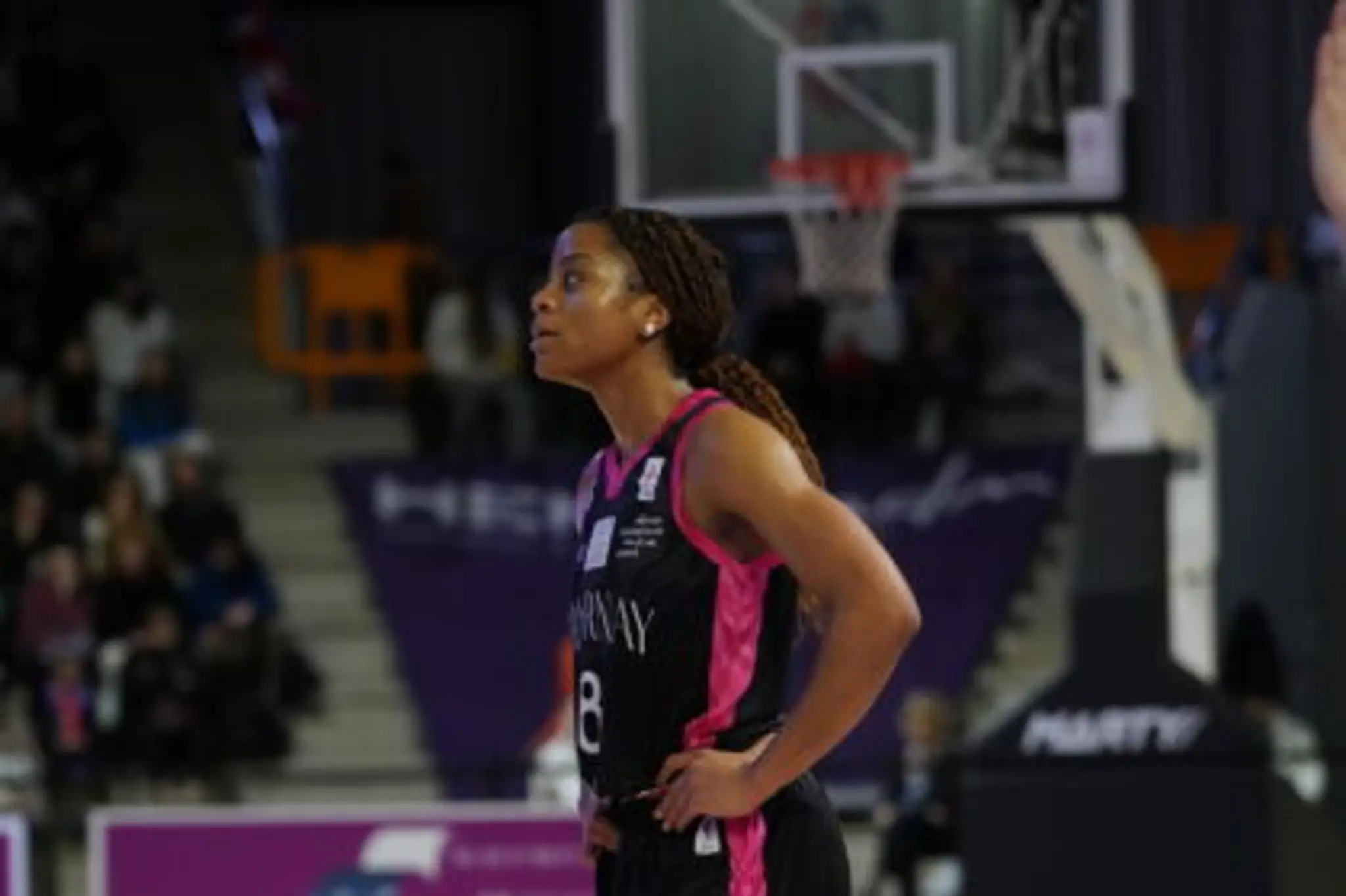 Basketball South Burgundy Charnay