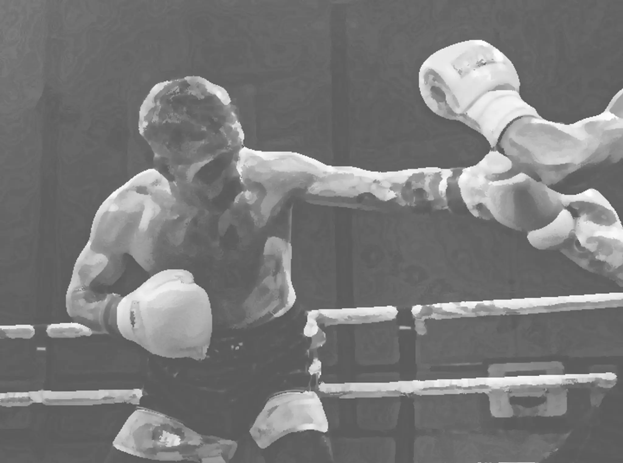 Ringmaster Boxing Gym