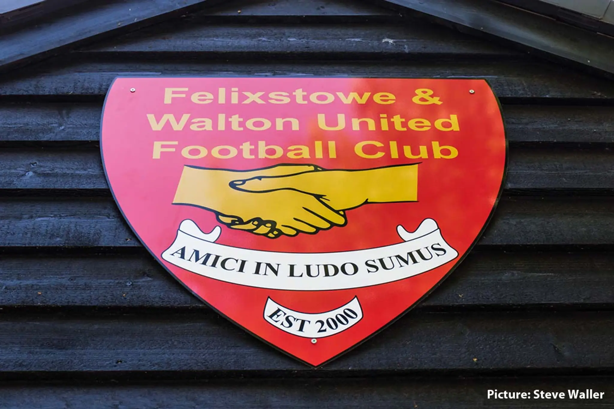 Felixstowe & Walton United Football Club