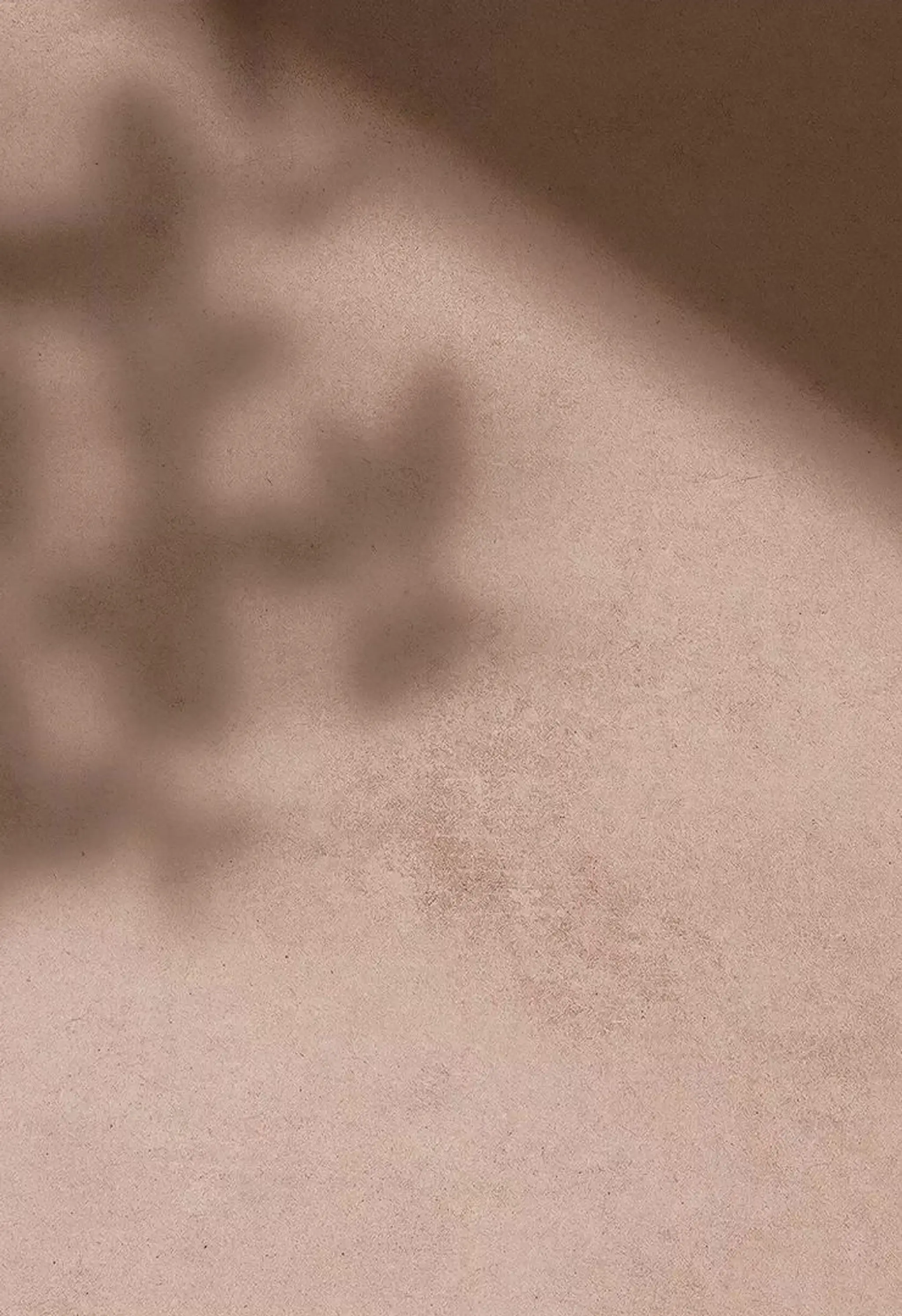 Midtown Judo Kiyomizukan