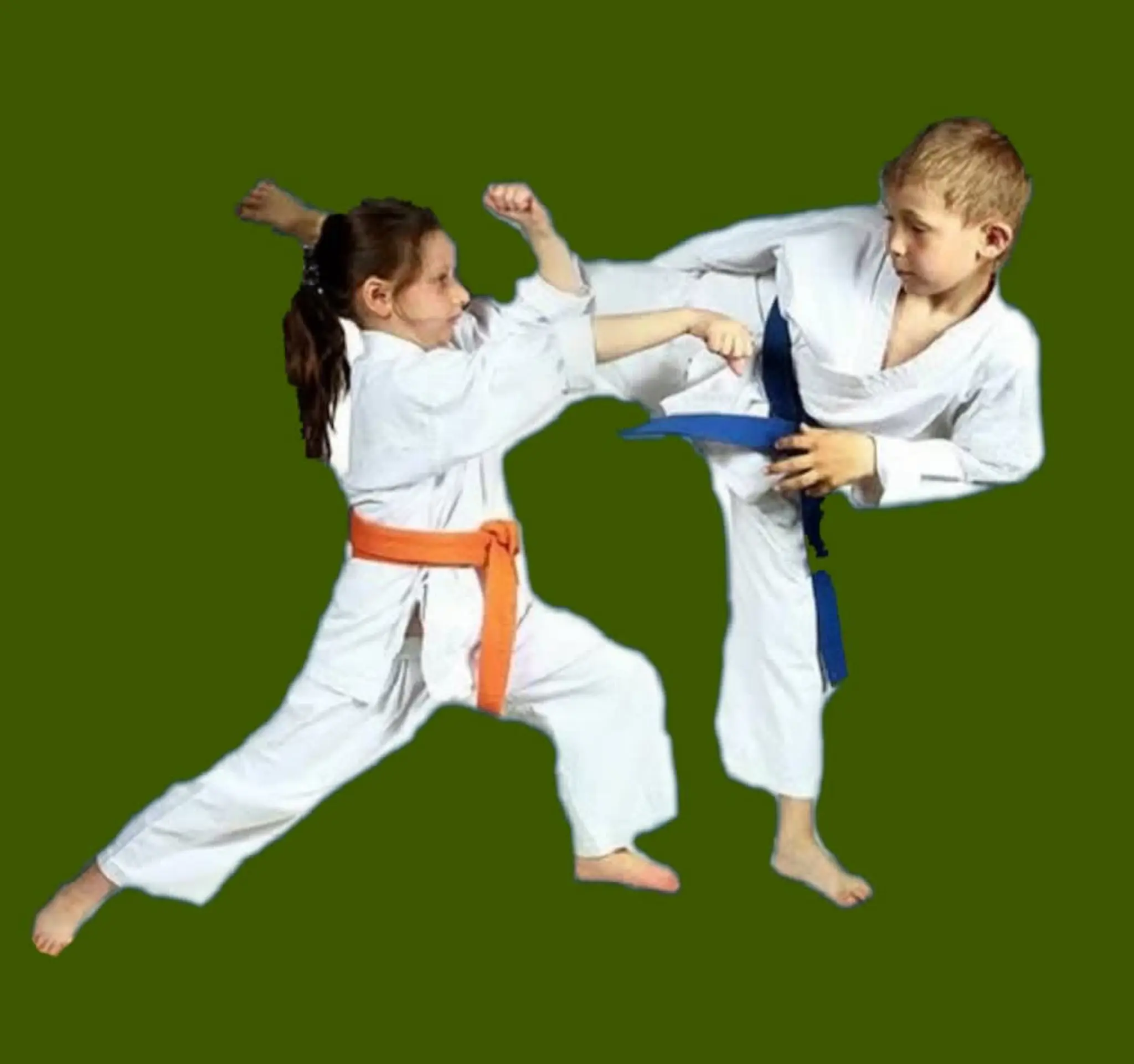 Merit Karate Academy