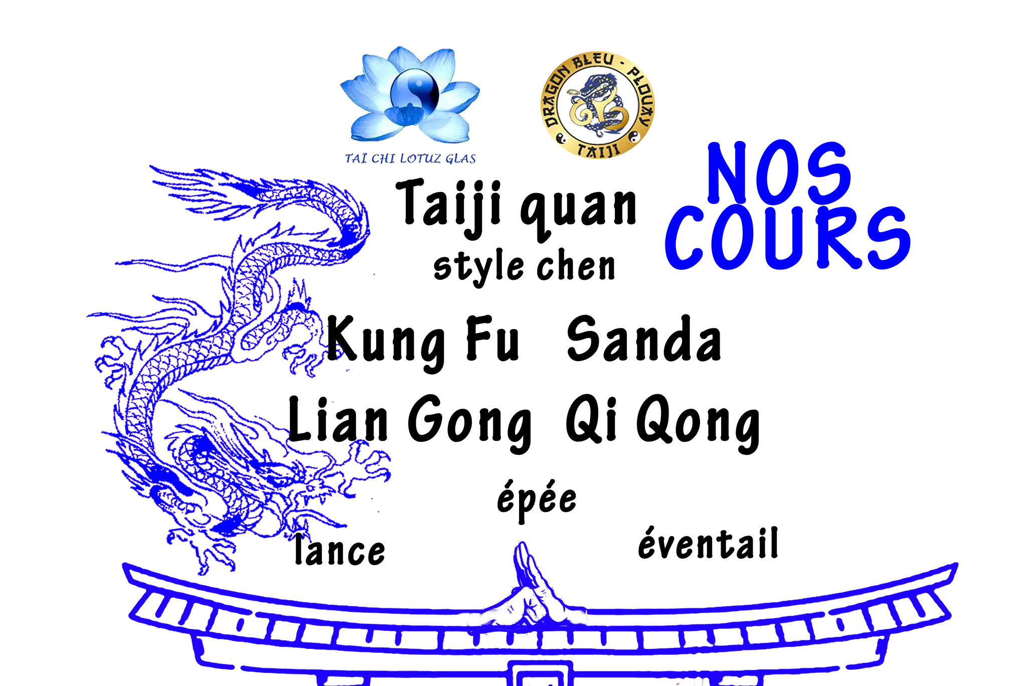 Taiji Dragon Bleu Plouay