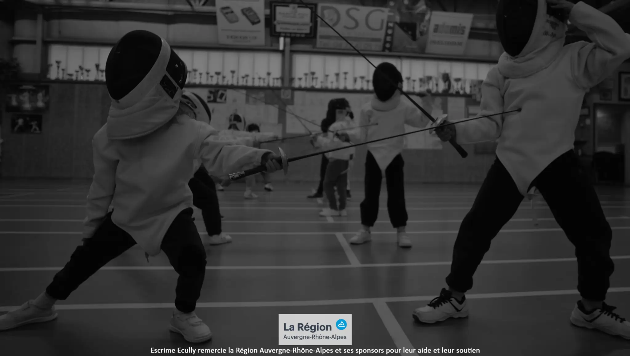 Fencing Ecully