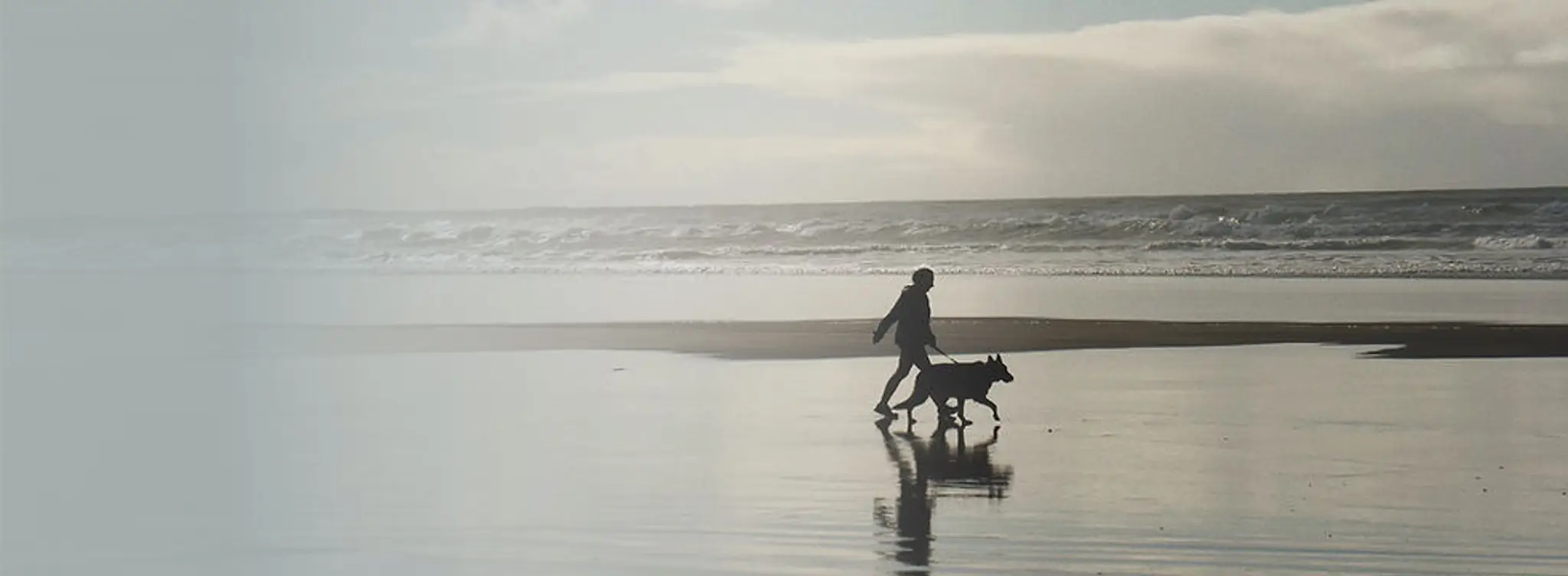 Shirley Wellness Centre