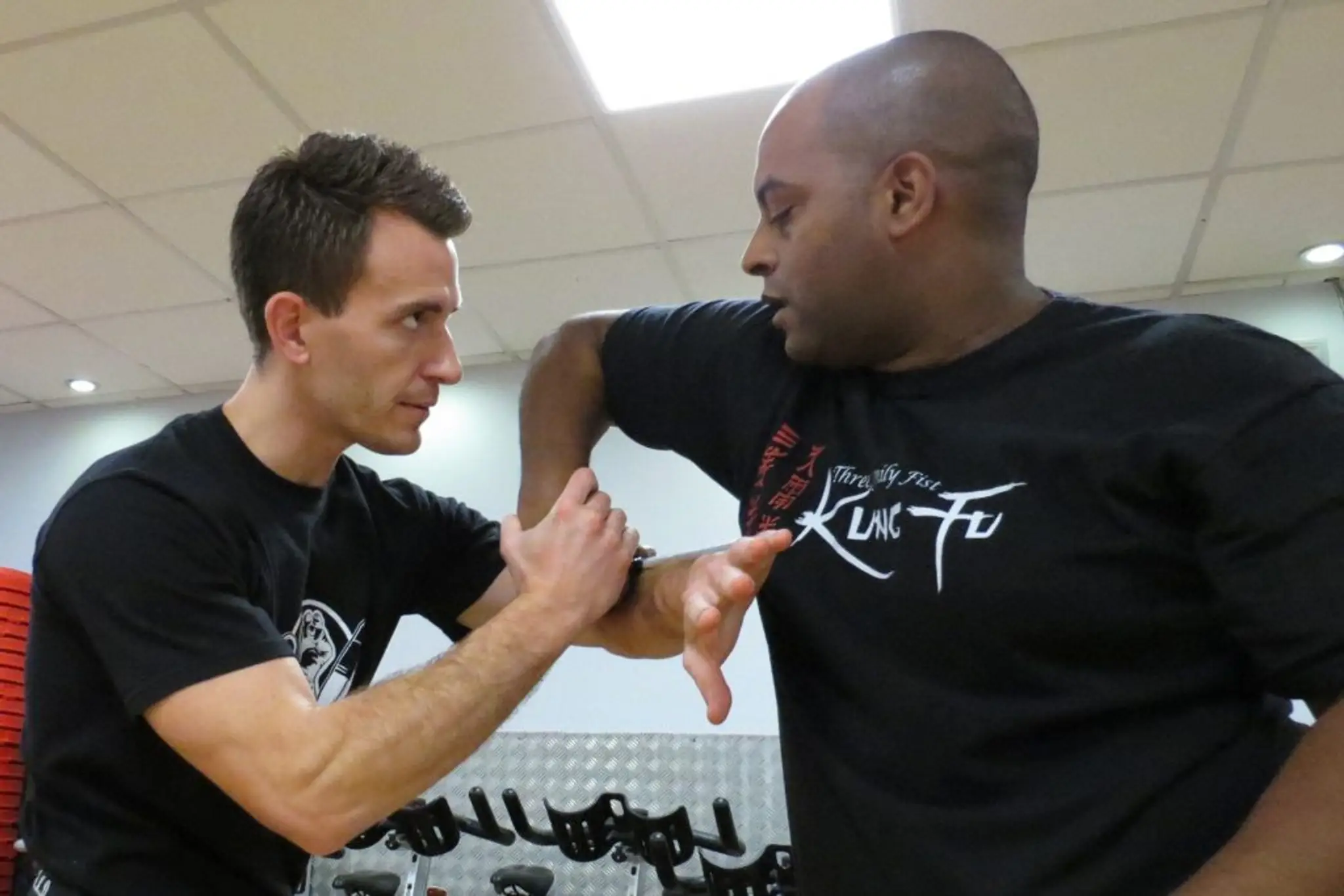 Three Family Fist Kung Fu