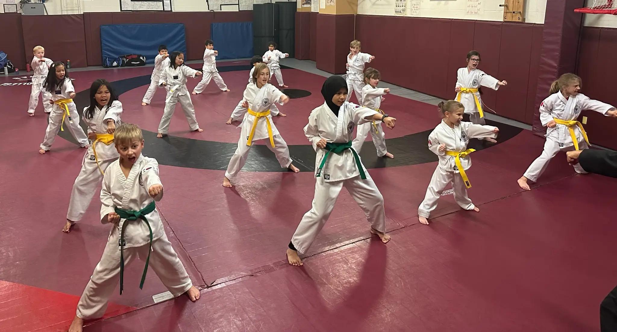 Haechi Traditional Tae Kwon Do